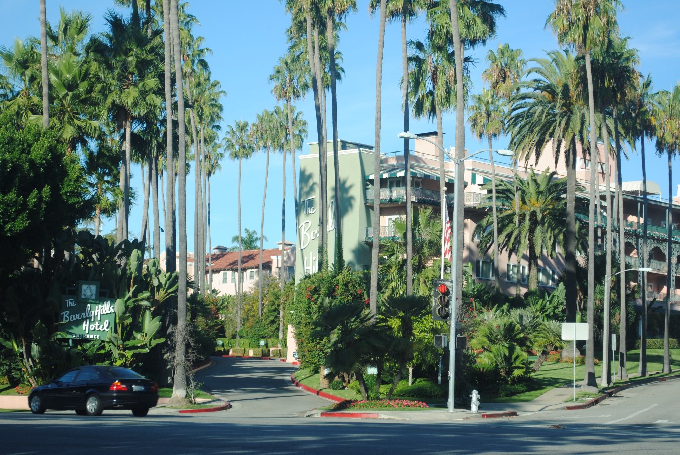 free 720p wallpapers Palm Wallpaper Beverly Hills 1355x907