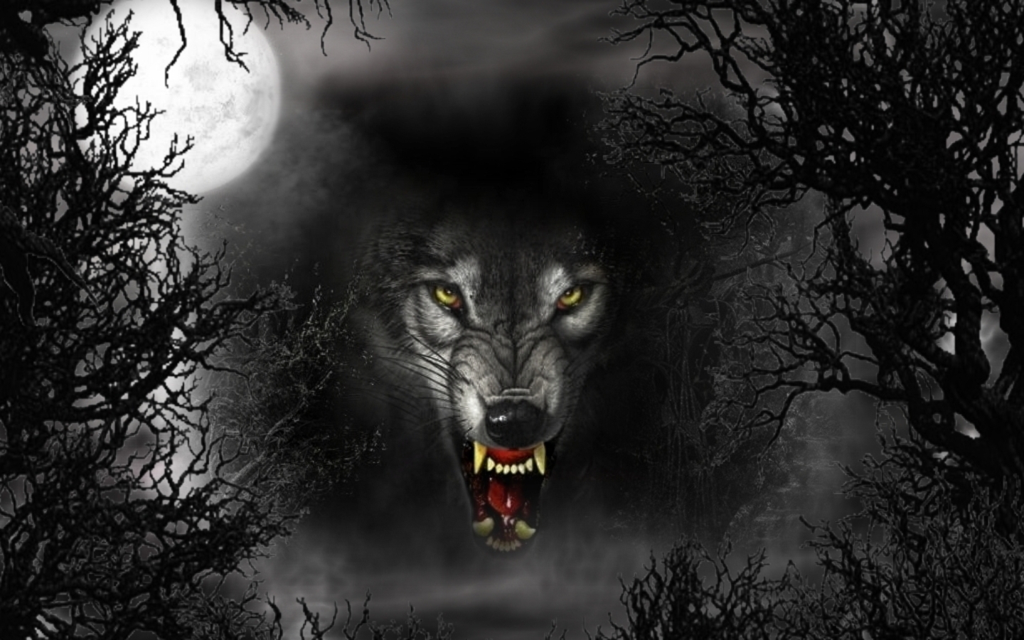3D Wallpapers Black Wolf