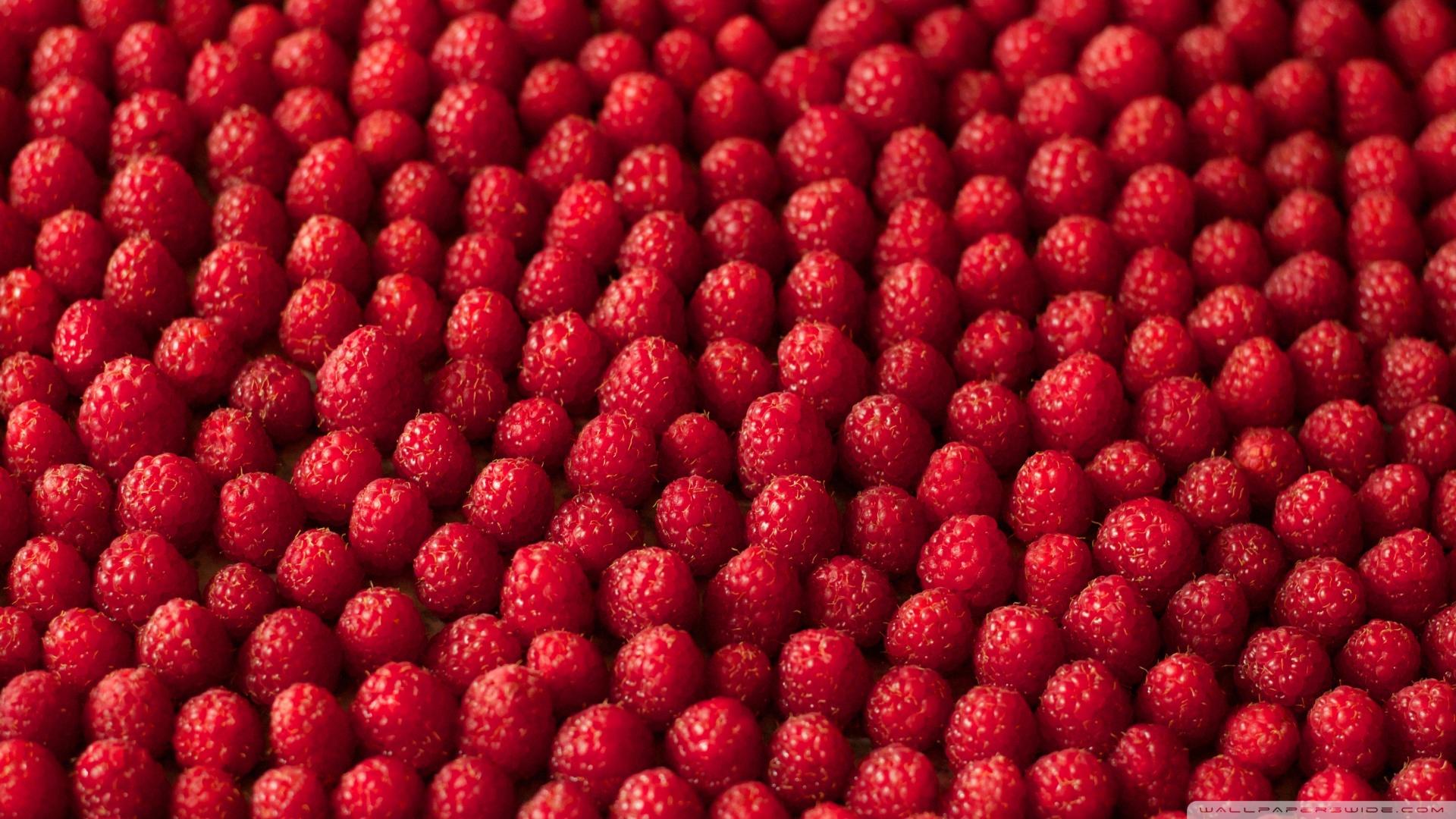 Raspberries Bokeh 4k HD Desktop Wallpaper For Dual Monitor