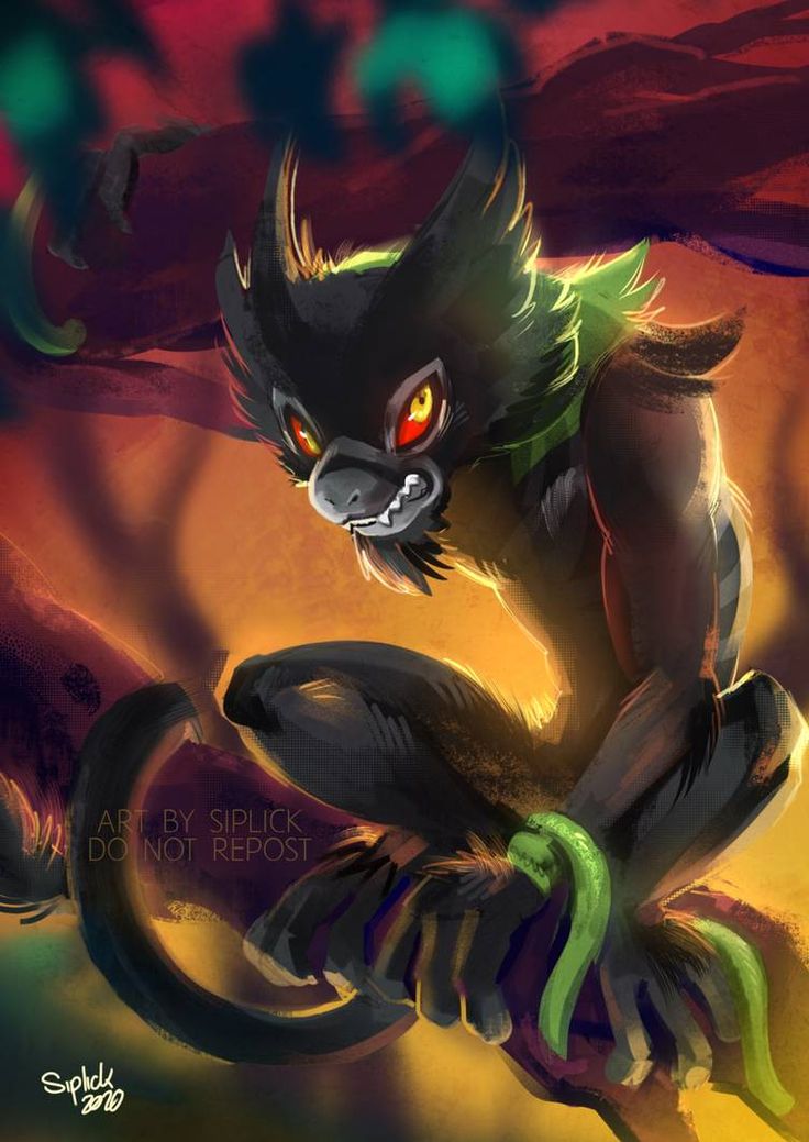 Zycay On Pokemon Wallpaper