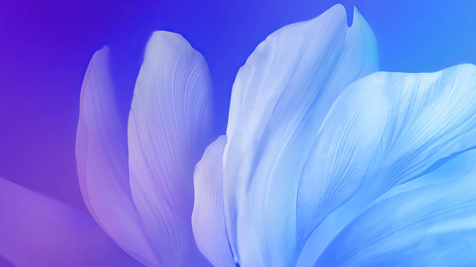 4d Ultra HD Wallpaper