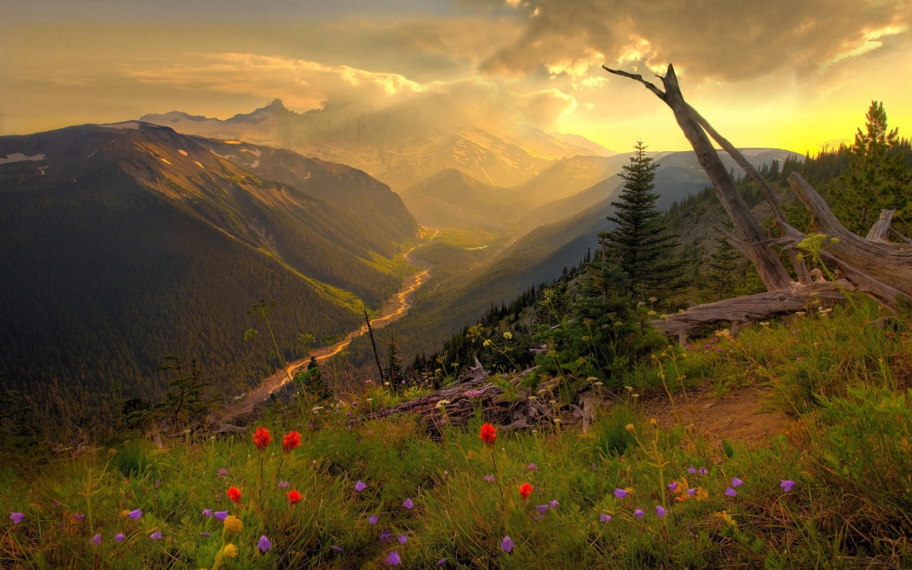 Beautiful mountain scenery Desktop and mobile wallpaper Wallippo