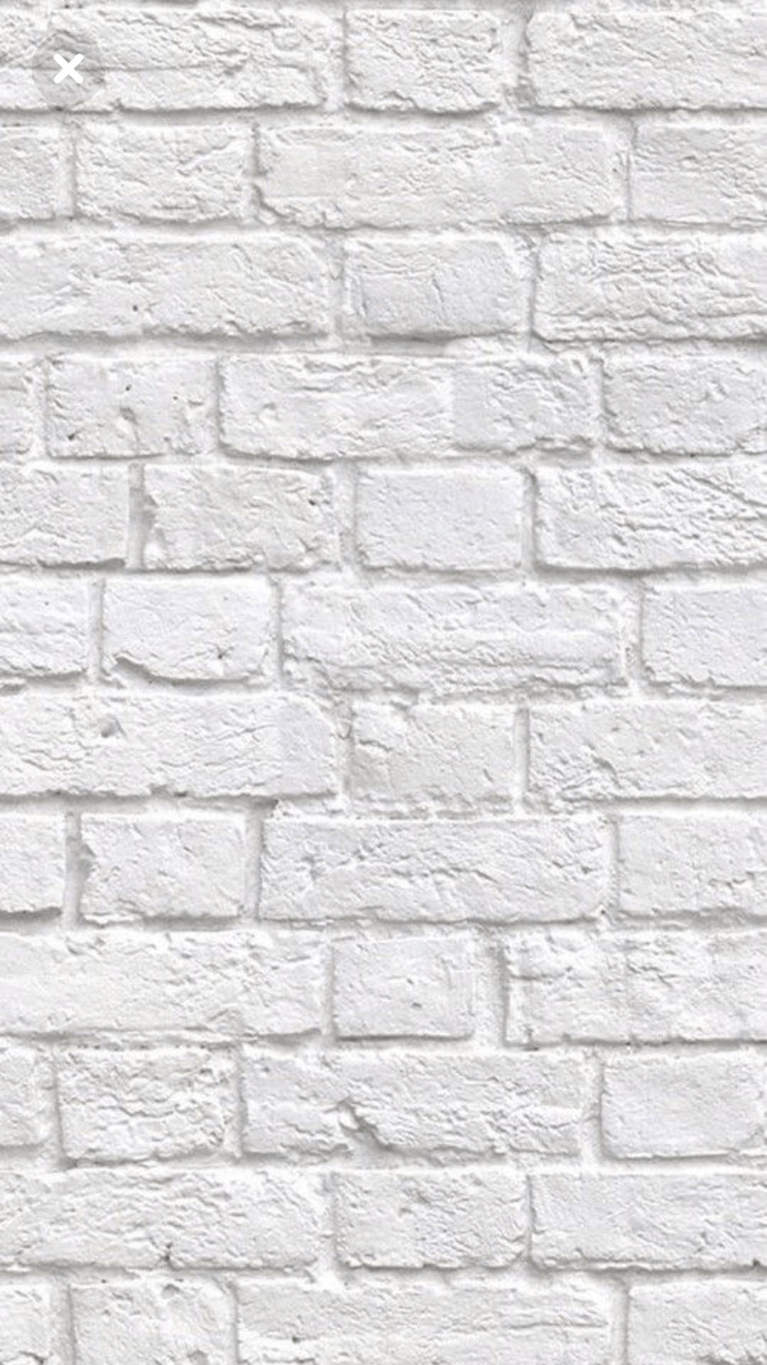 Plain White Background Wallpaper