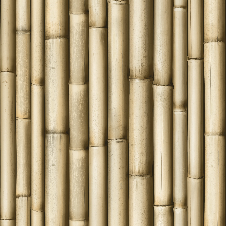 Designer Wallpaper Bamboo Koziel Murivamuriva