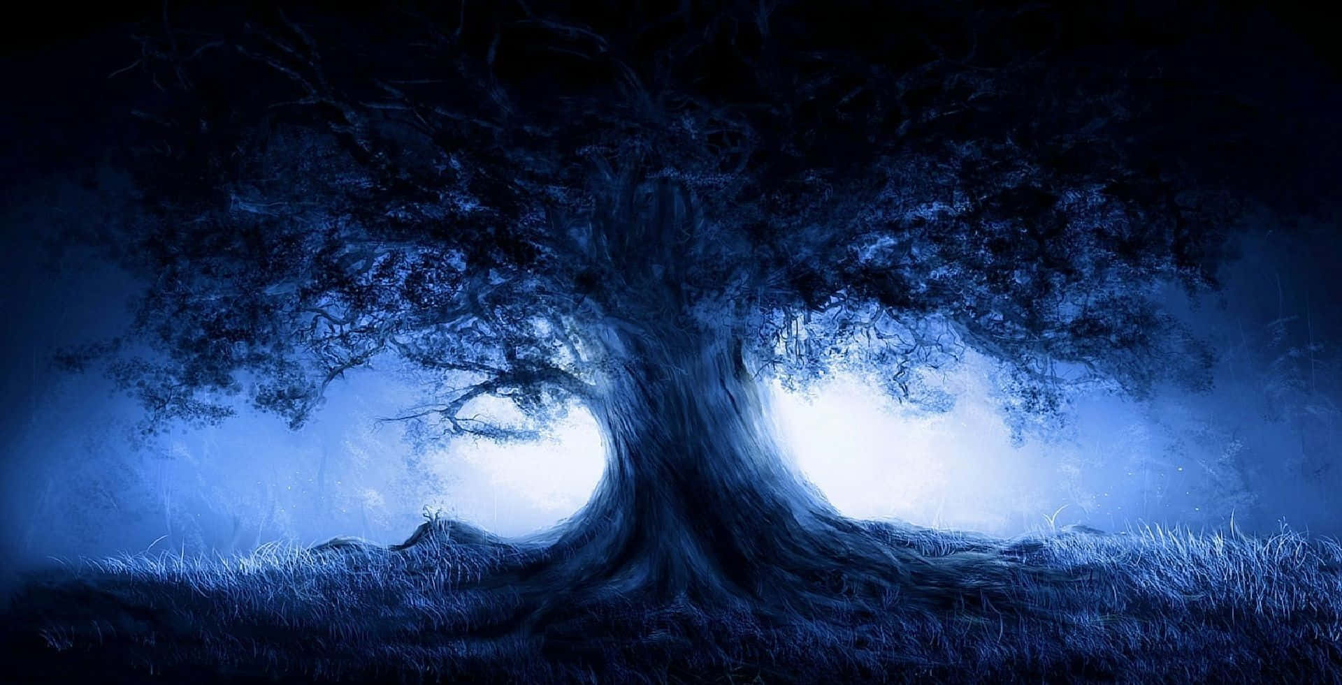 Dark Nature Background Wallpaper