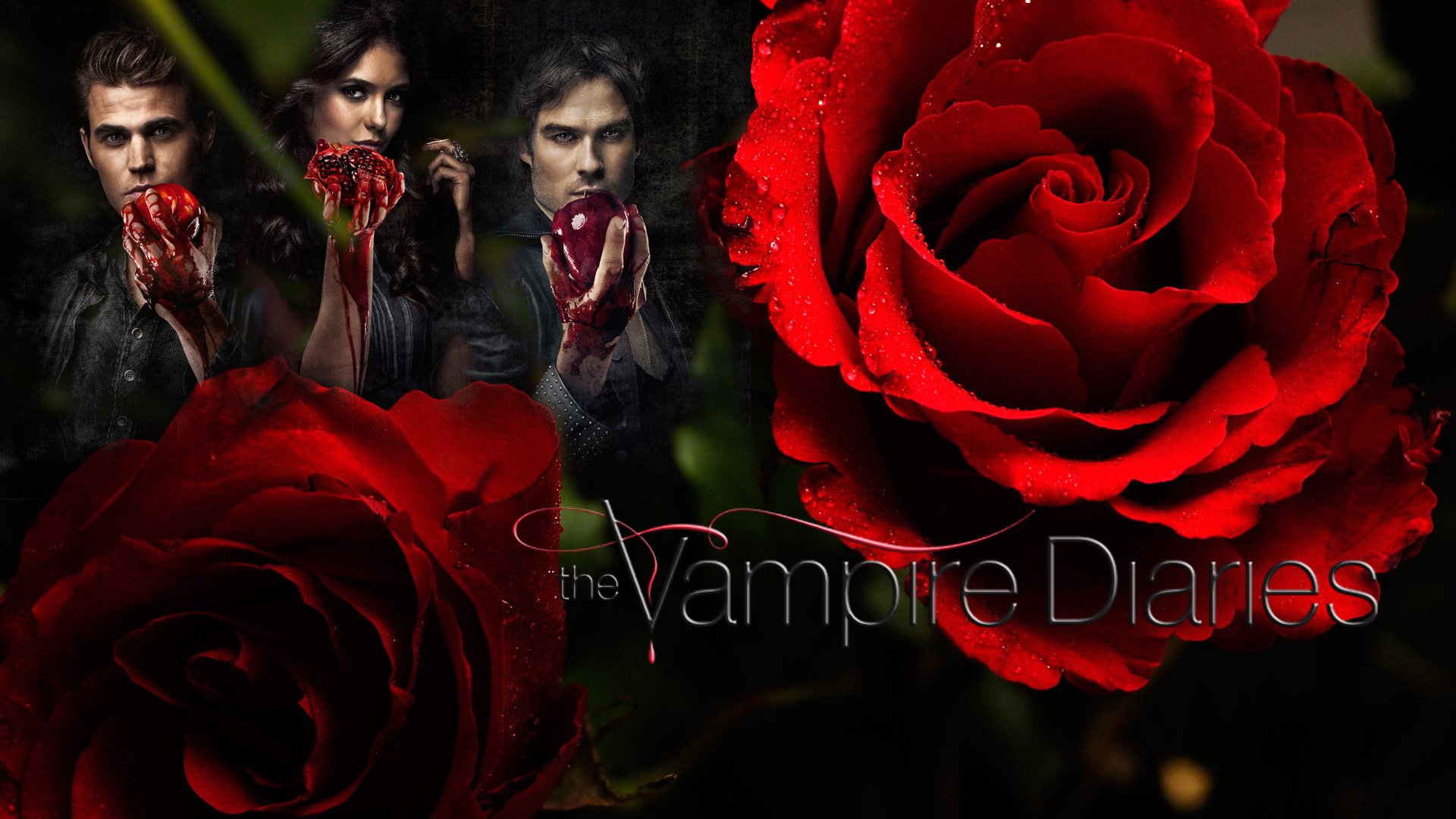Vampire Diaries Fan Art The Wallpaper