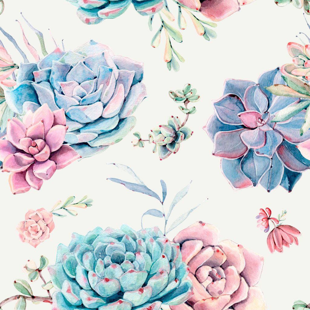 Large Floral Succulents Removable Wallpaper By Wallspruce
