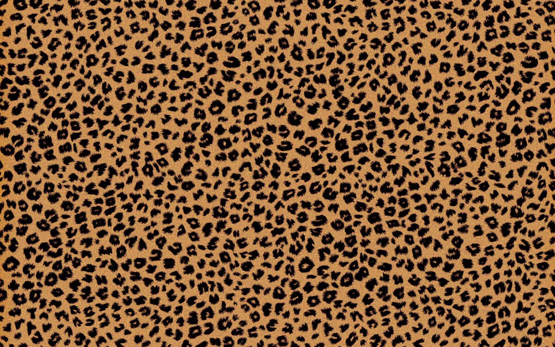 Leopard Print Tumblr Background