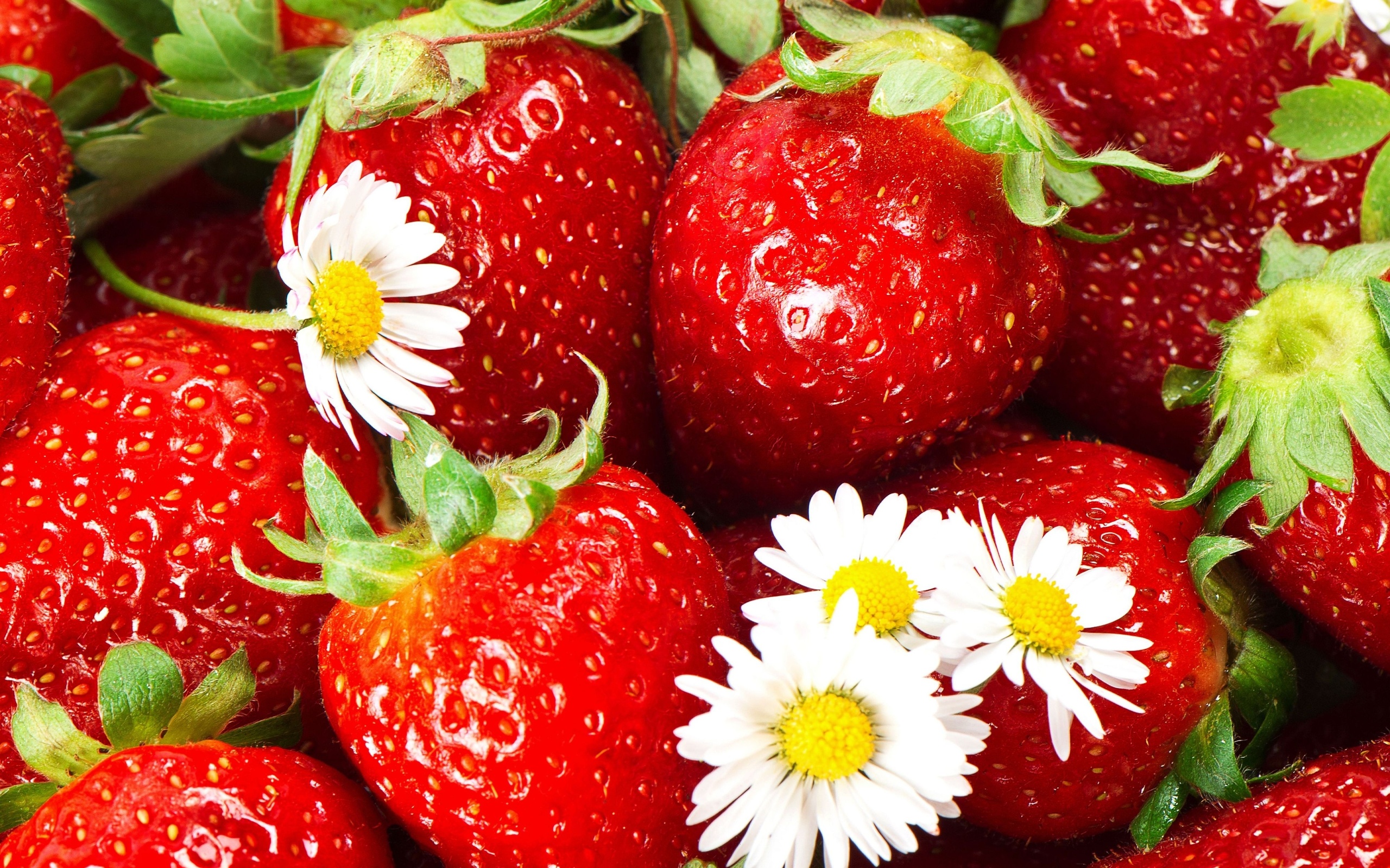 Food Strawberry HD Wallpaper