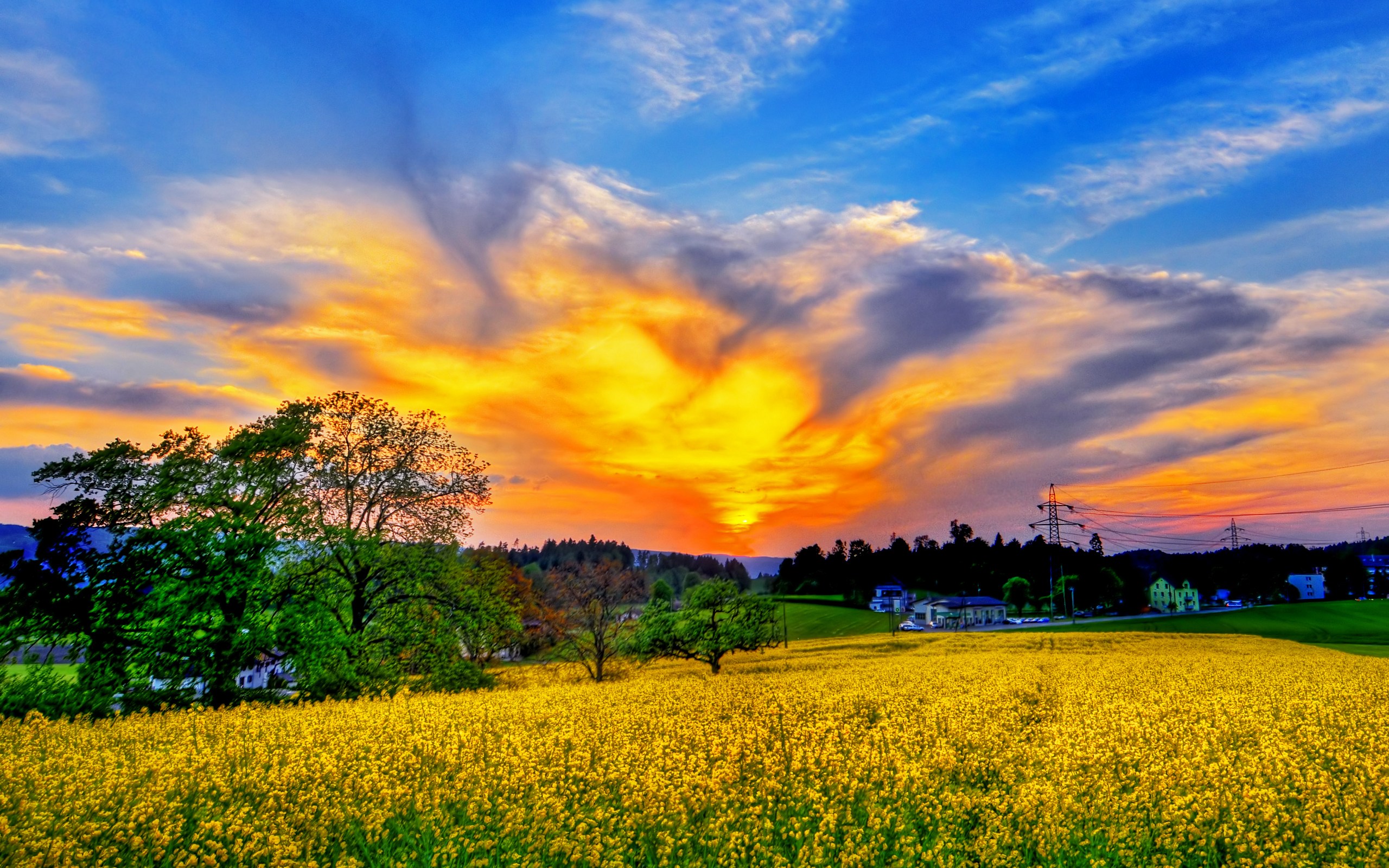 Beautiful Spring Scenery Image Pictures Becuo