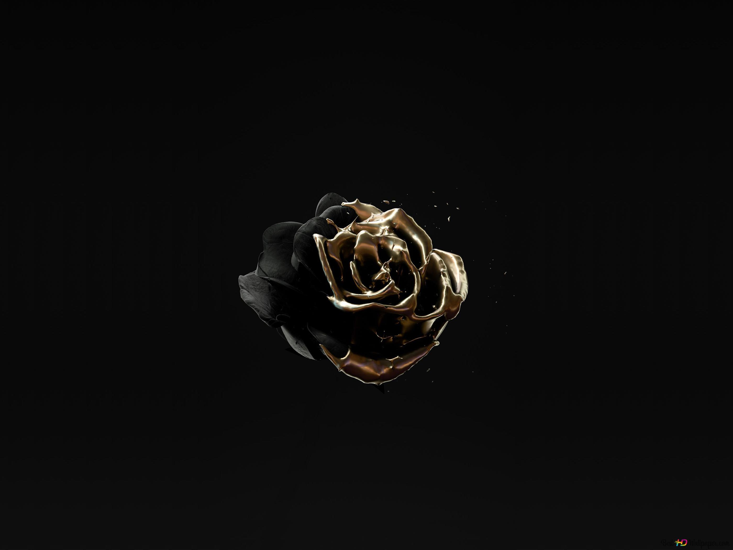 Image Of Rose Gold Color On Black 4k Wallpaper