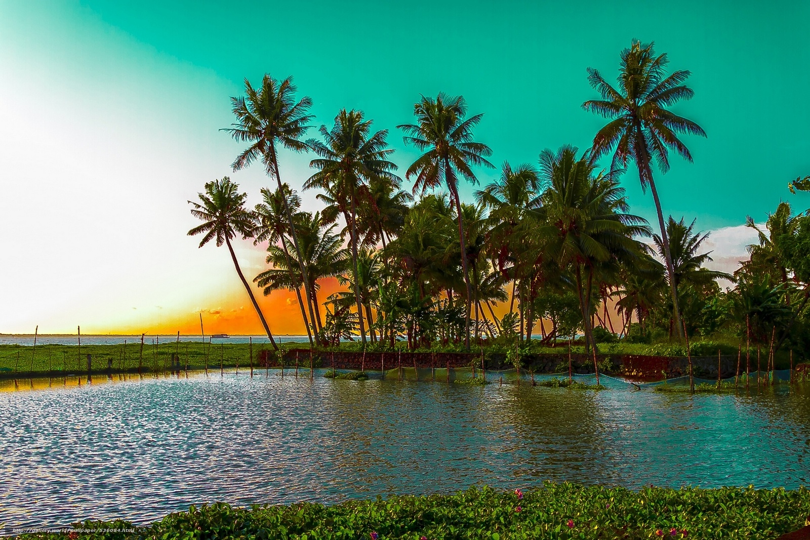 Wallpaper Kumarakom Lake Kerala India Desktop