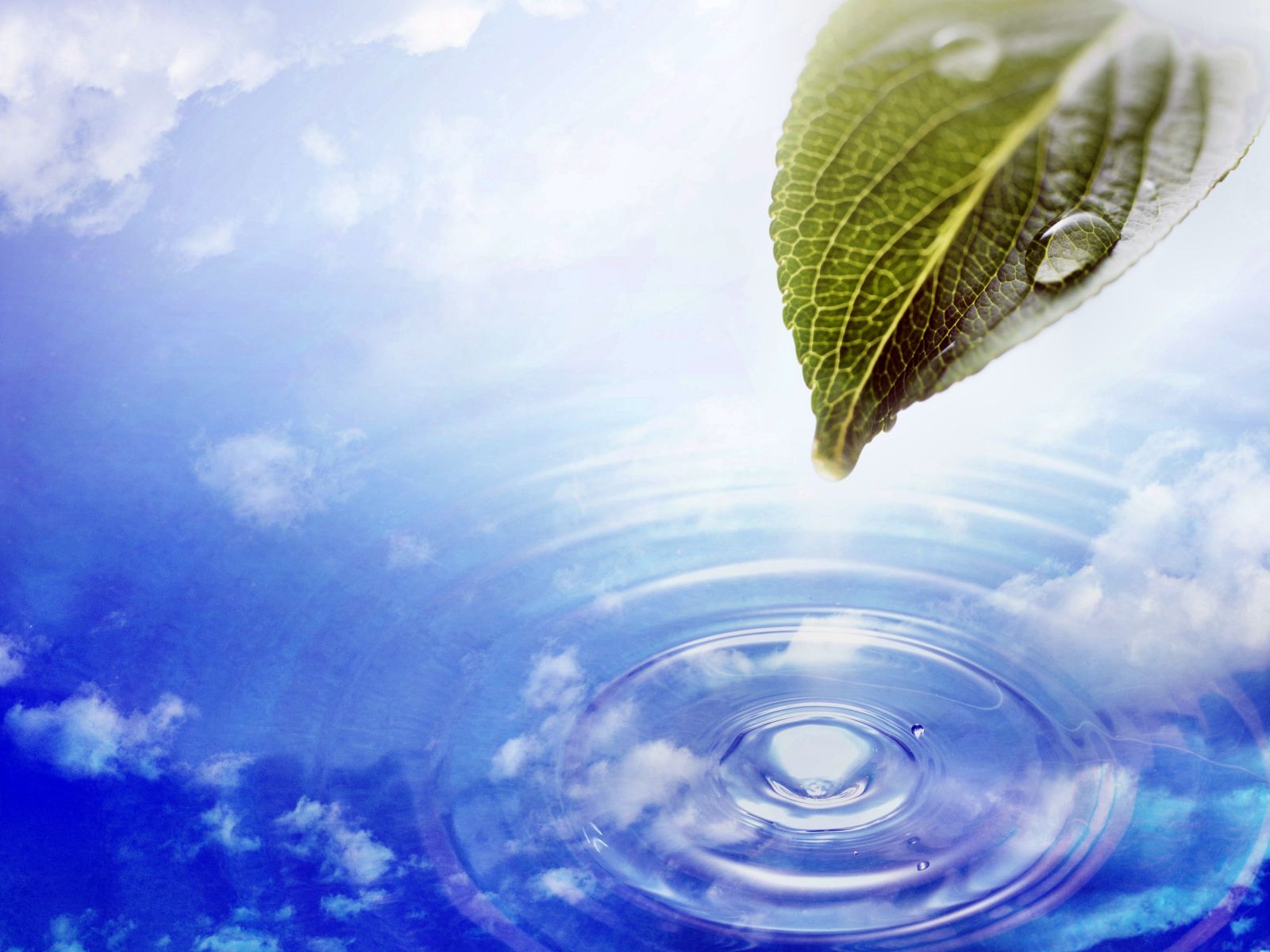Animated Desktop Background 3d
