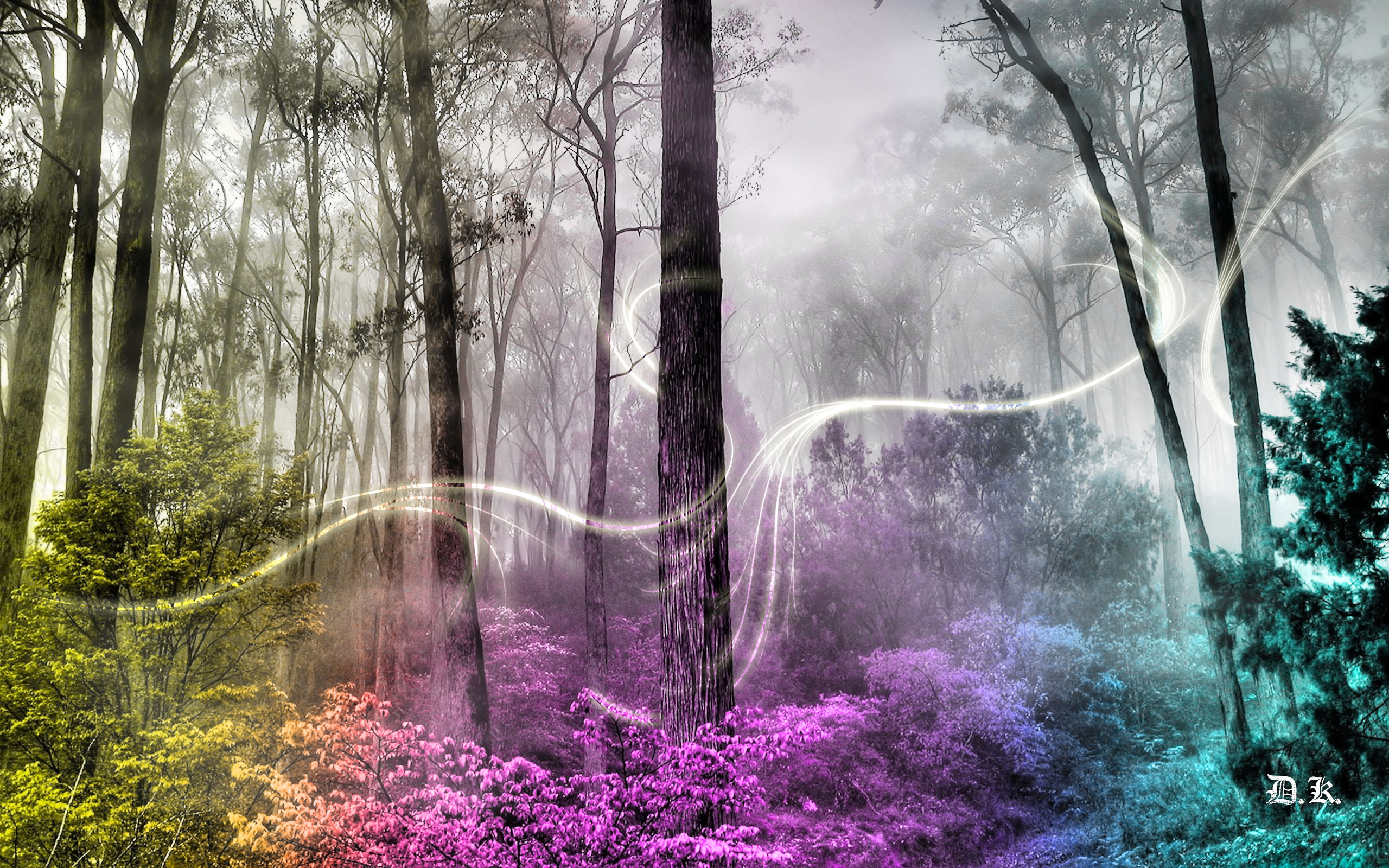 Free download el bosque encantado fondo de pantalla ForWallpapercom  [2560x1600] for your Desktop, Mobile & Tablet | Explore 69+ Enchanted  Forest Backgrounds | Enchanted Wallpaper, Enchanted Forest Background,  Forest Background