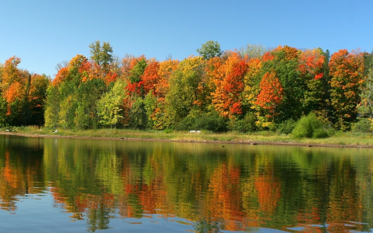 Wallpaper Colorful Trees In Lake Nature