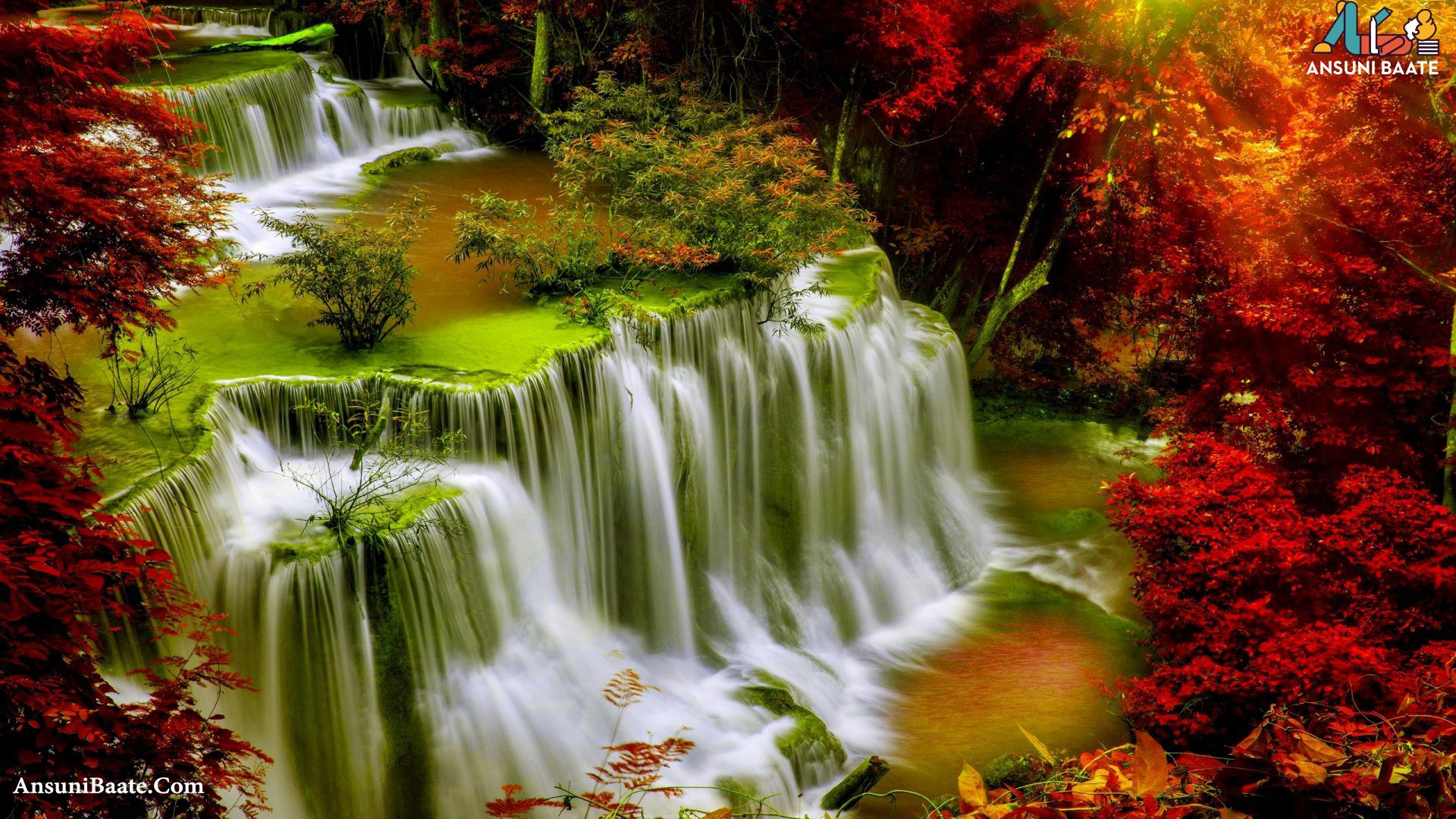 HD Nature Wallpaper On