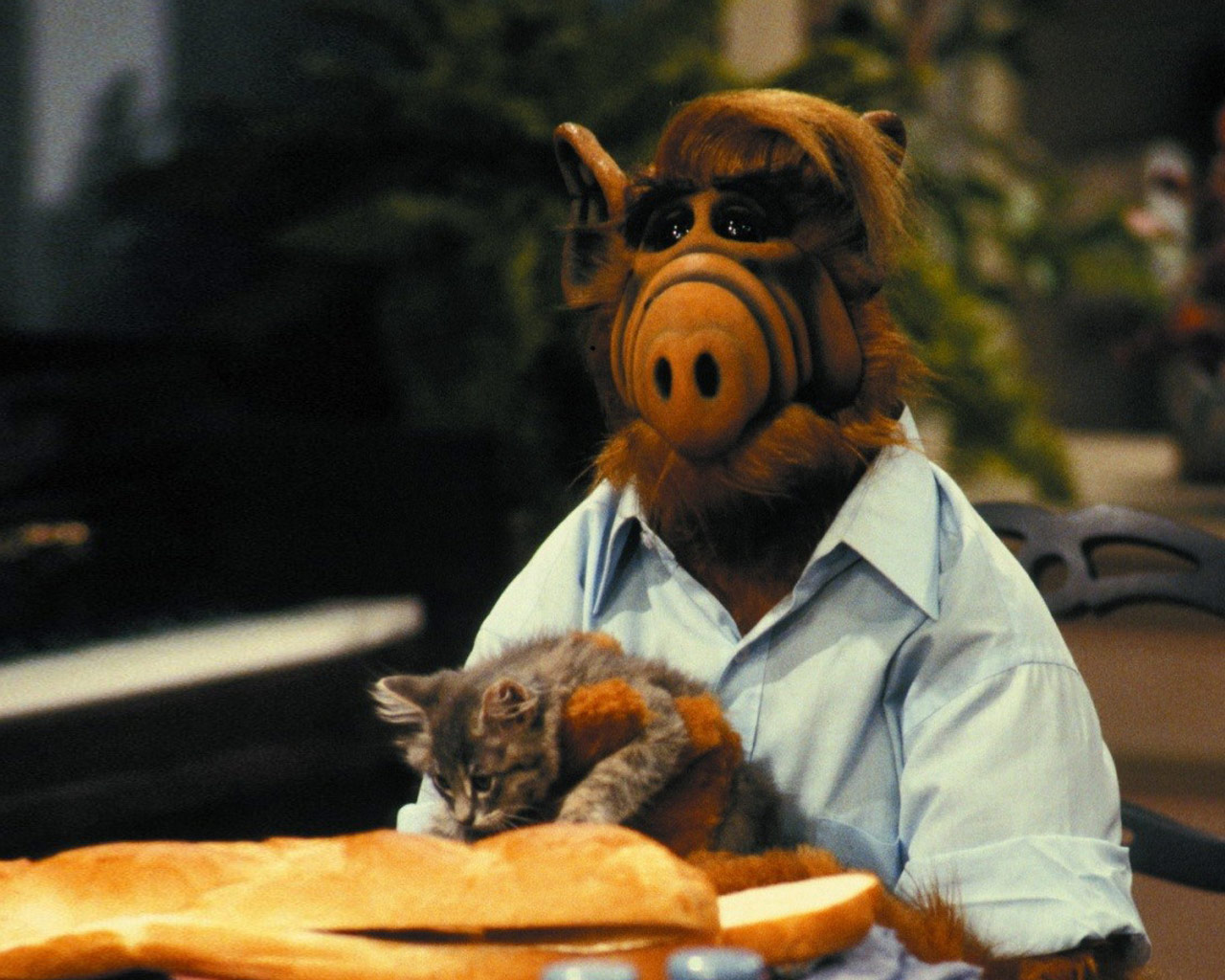 Free download Alf Wallpaper Pictures to Pin PinsDaddy [1373x1026] for