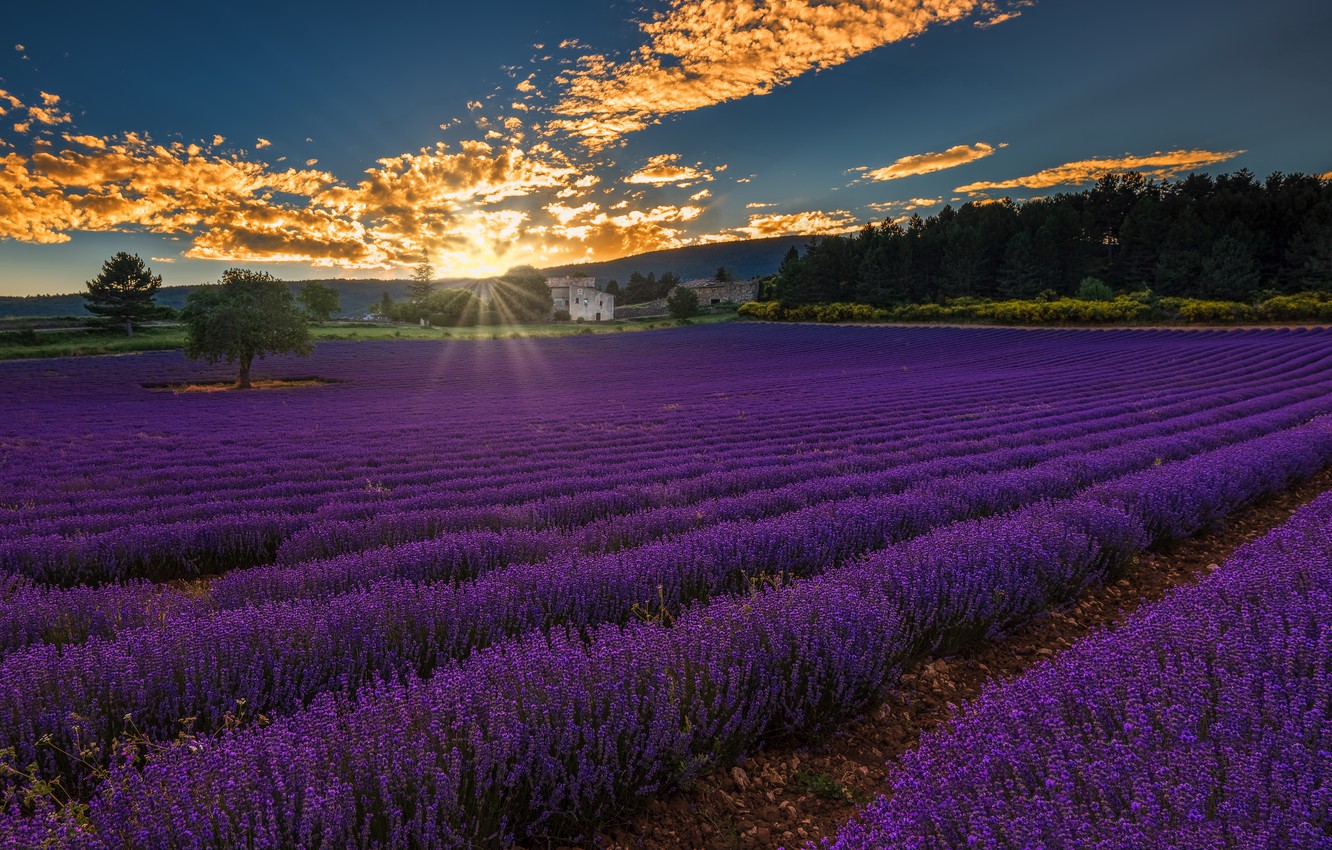 Wallpaper Landscape Sunset France Provence Alpes Cote D Azur