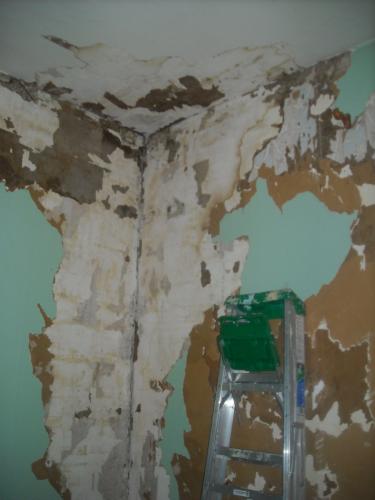 Remodeling Old Paint Over Wallpaper General Generic