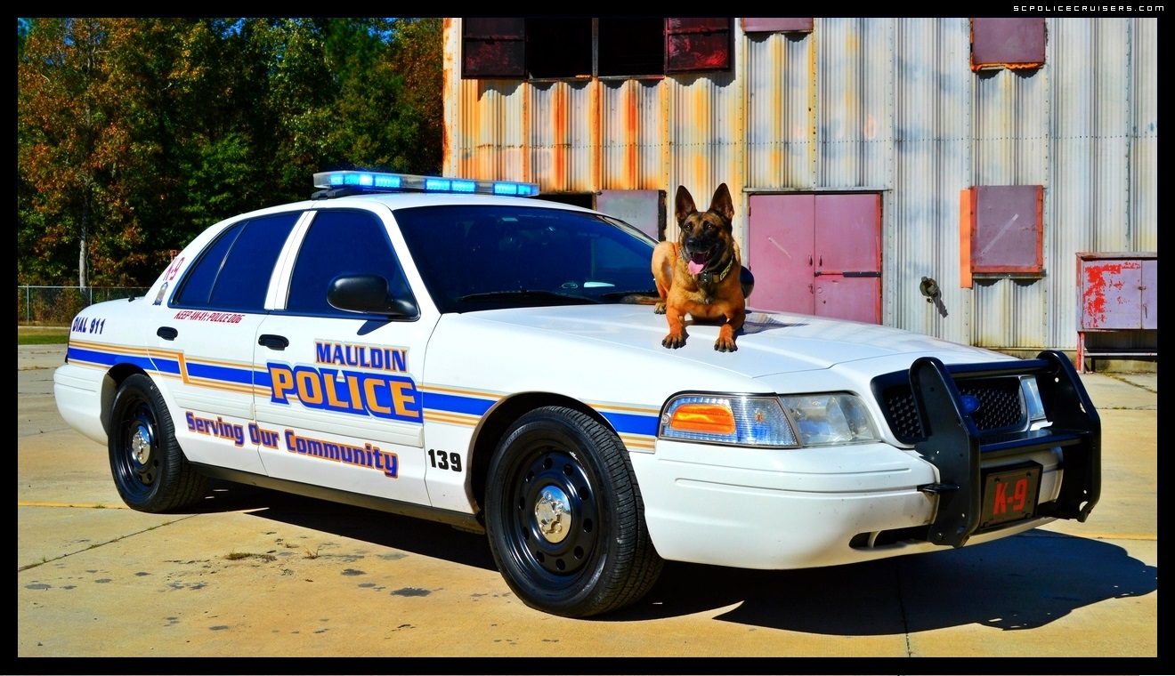 Mauldin Police Departments K 9 Officer Chica Desktop Sizes Available