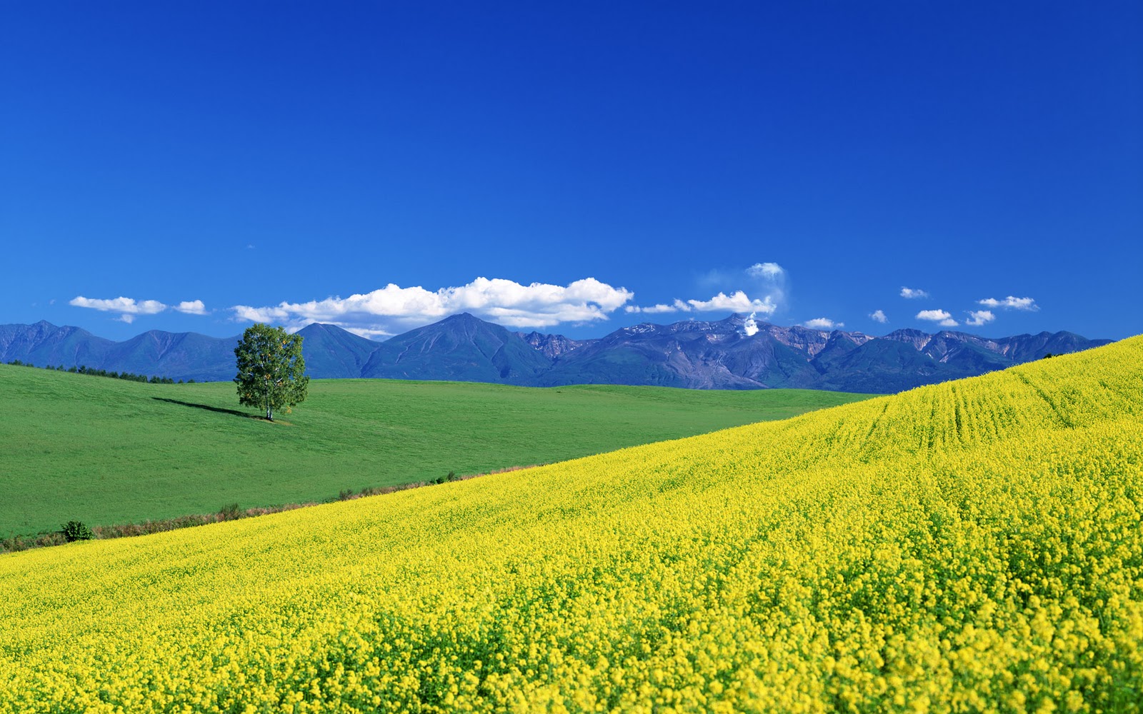 Name Countryside Wallpaper Landscape Background