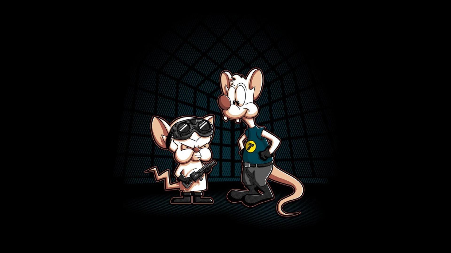 1920x1080px Pinky and the Brain Wallpaper