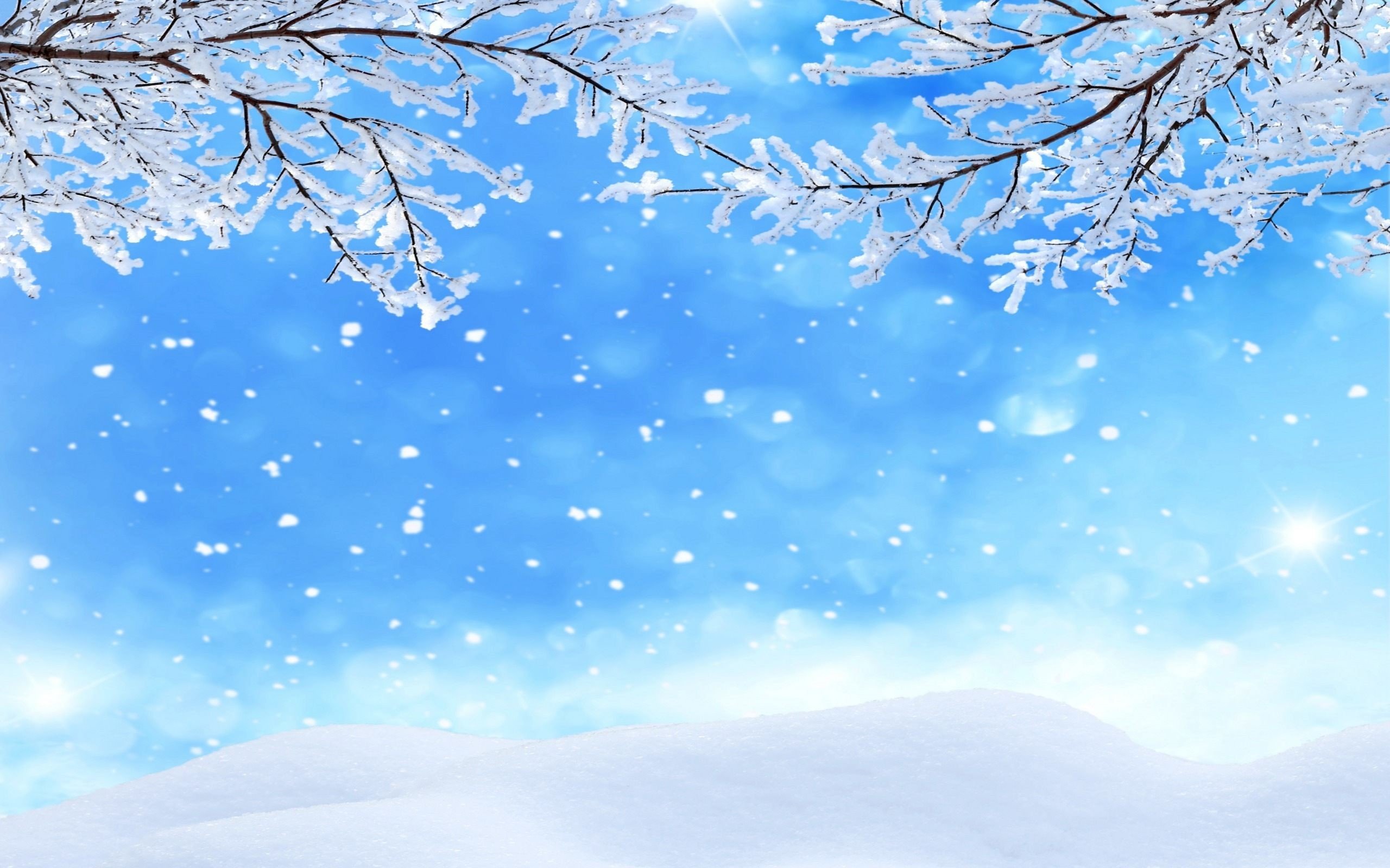 Free Download Winter Background Images Images 2560x1600 For Your 