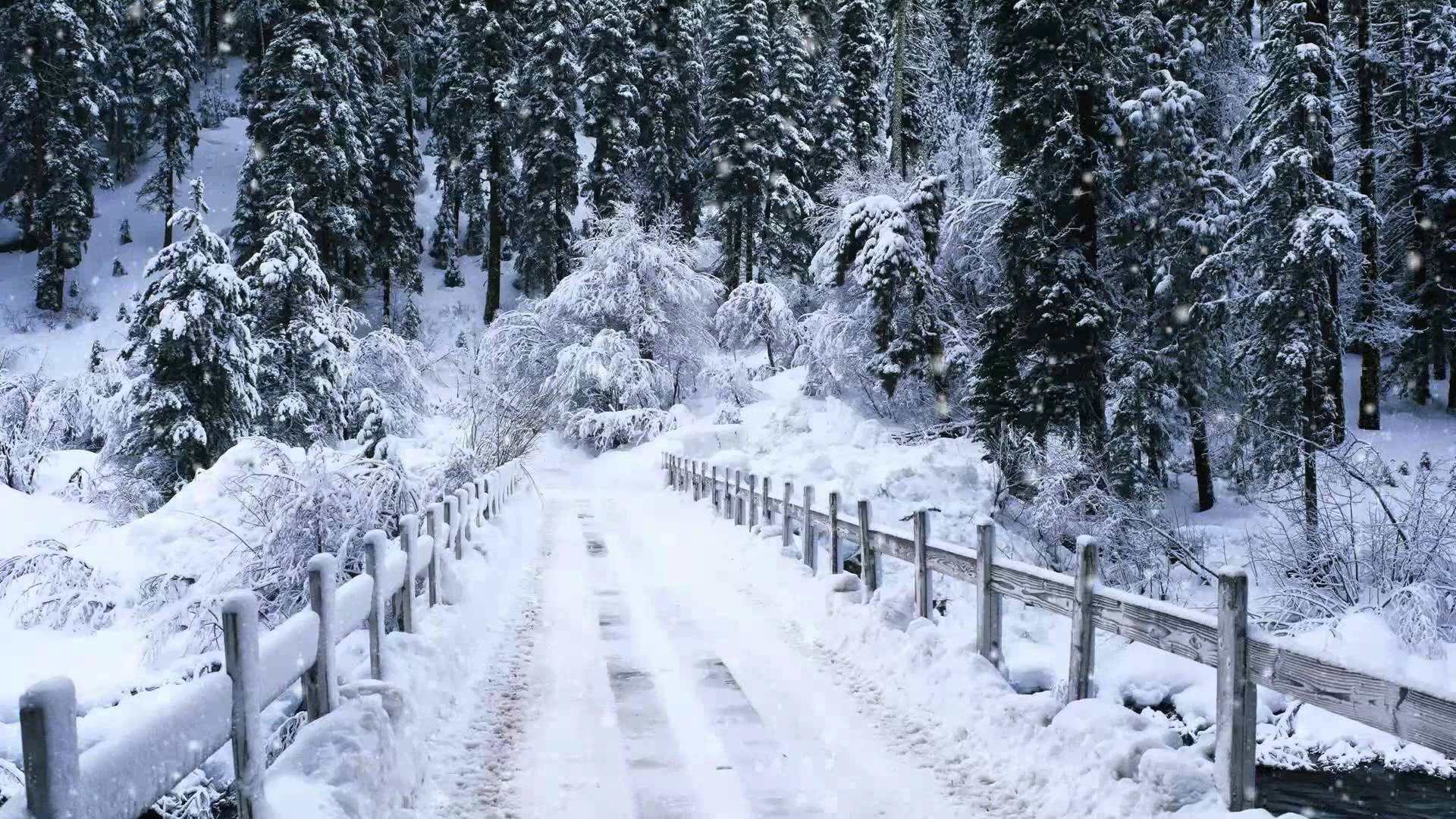 Snow Falling Windows 7 Video Background DreamScene Adobe after 1920x1080