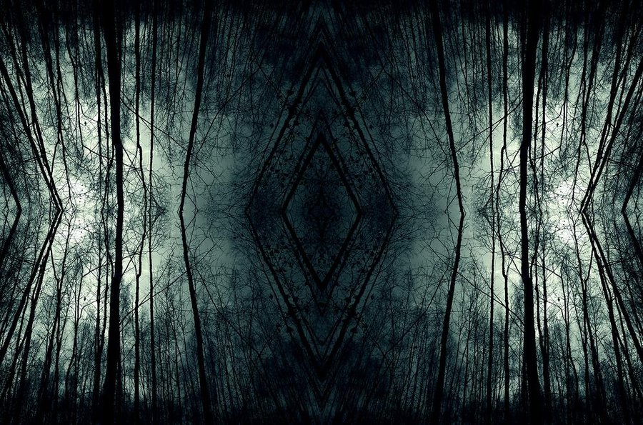 Dark Forest Background by Angellore69 on