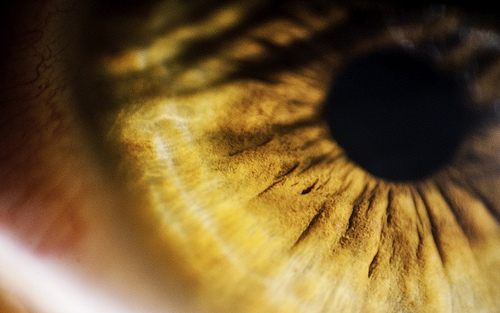 4k Retina Resolution Wallpaper Eye Resol