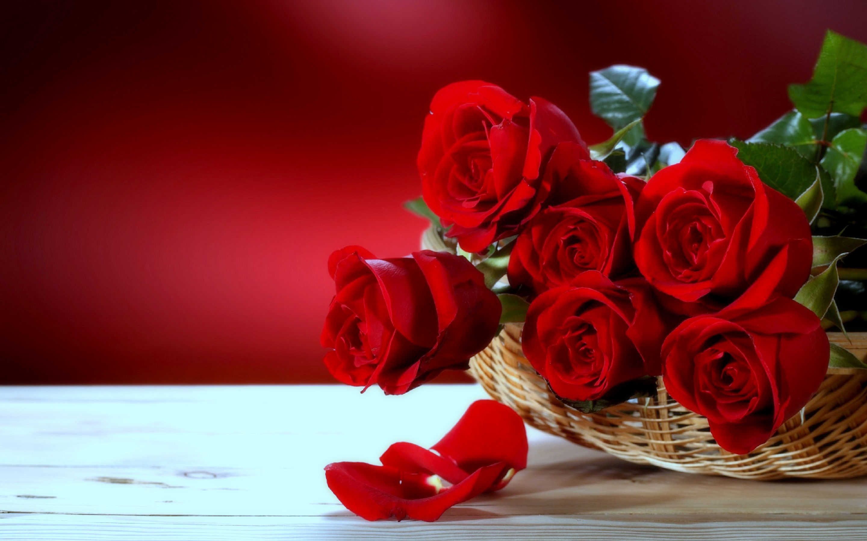 Beautiful Red Roses Bouquet HD Wallpaper