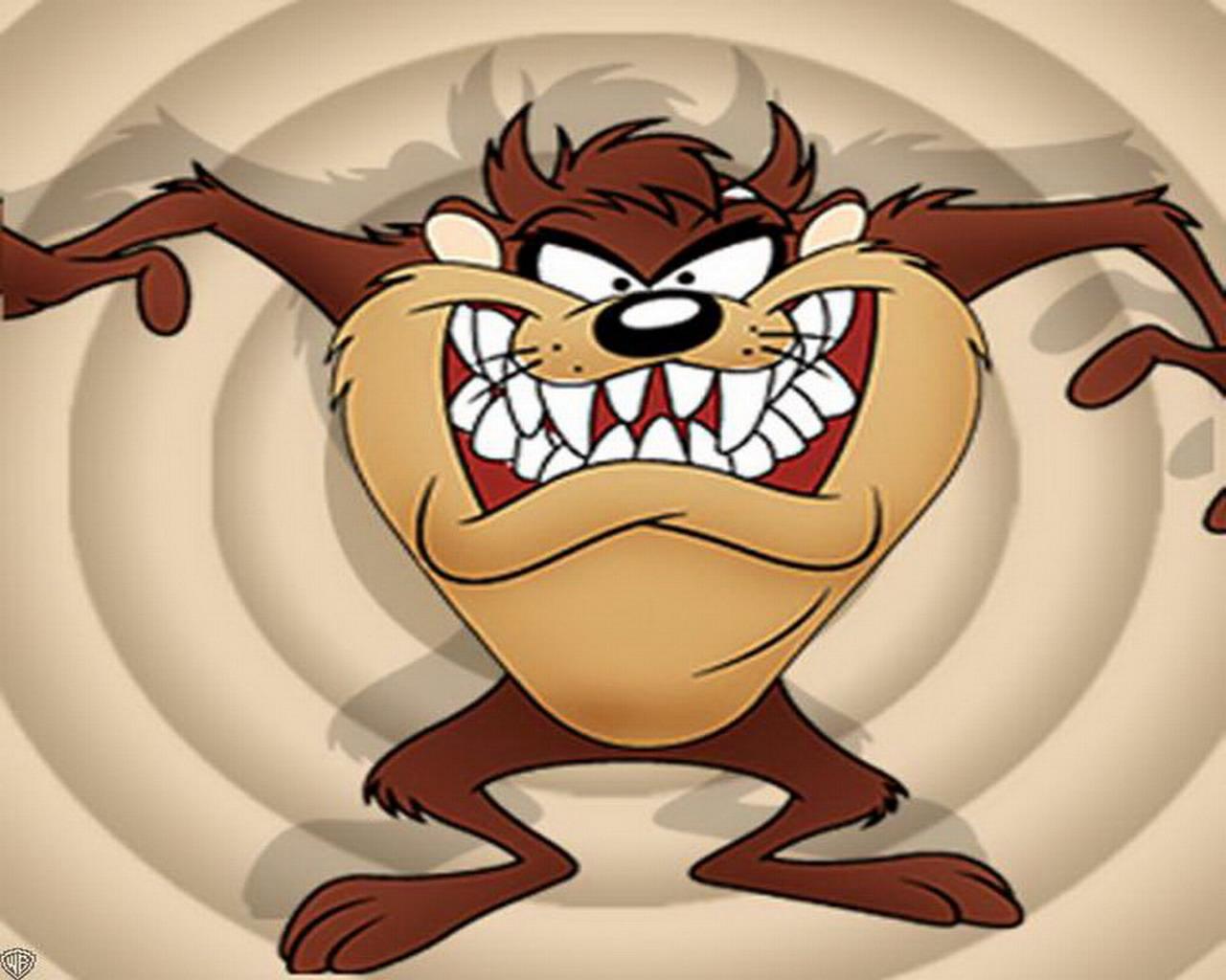 Image Cartoon Wallpaper Looney Tunes Tasmanian Devil Jpg Meet Us