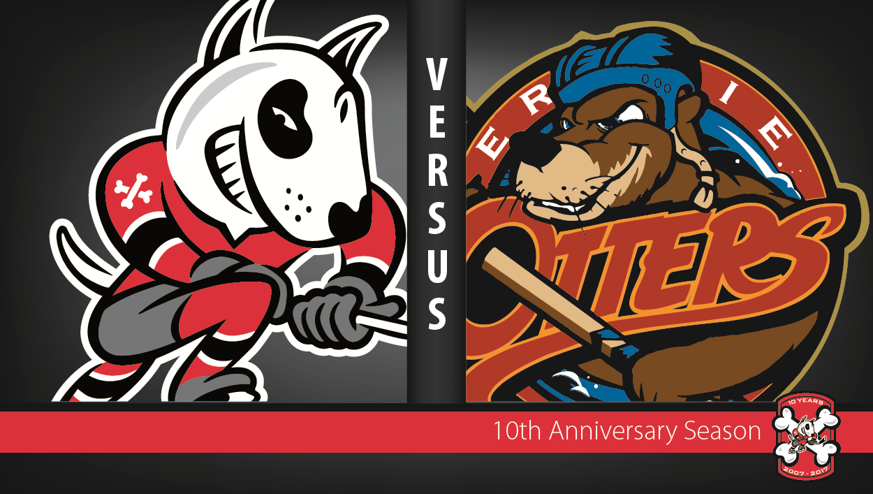 IceDogs Travel to Erie Tonight to Take on the Otters Niagara IceDogs