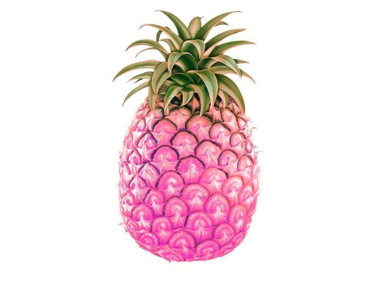 Pink Pineapple Wallpaper Pinterest