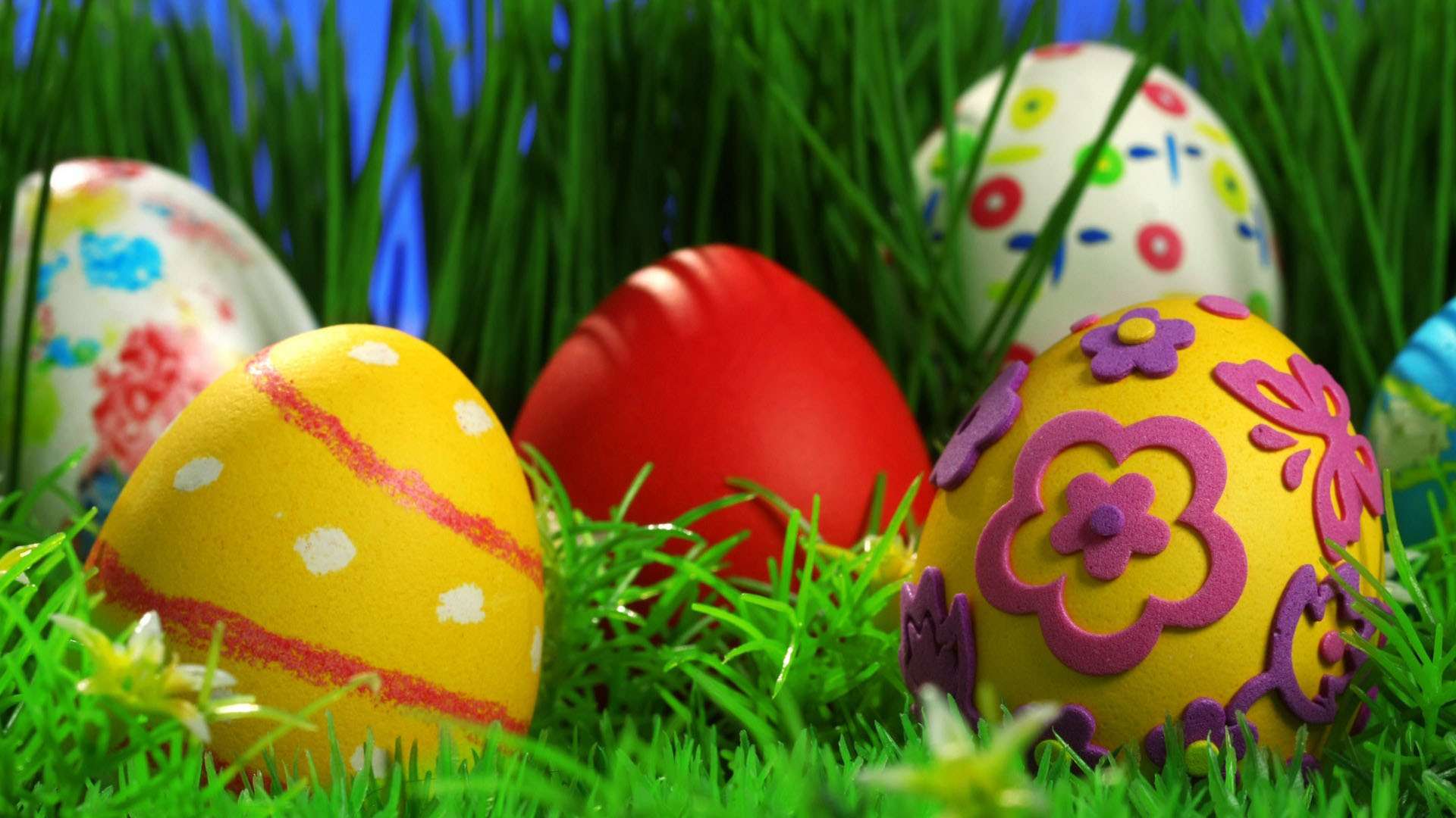 Decorated Easter Eggs In Grass HD Wallpaper FullHDwpp Full