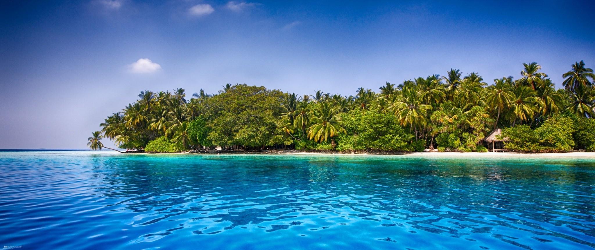 Maldives Beach Palm Trees Tropical Sea Sand Water Summer