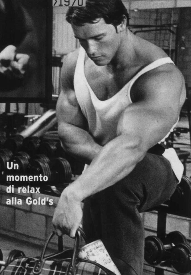 Arnold Wallpaper Best Bodybuilder Body Muscles