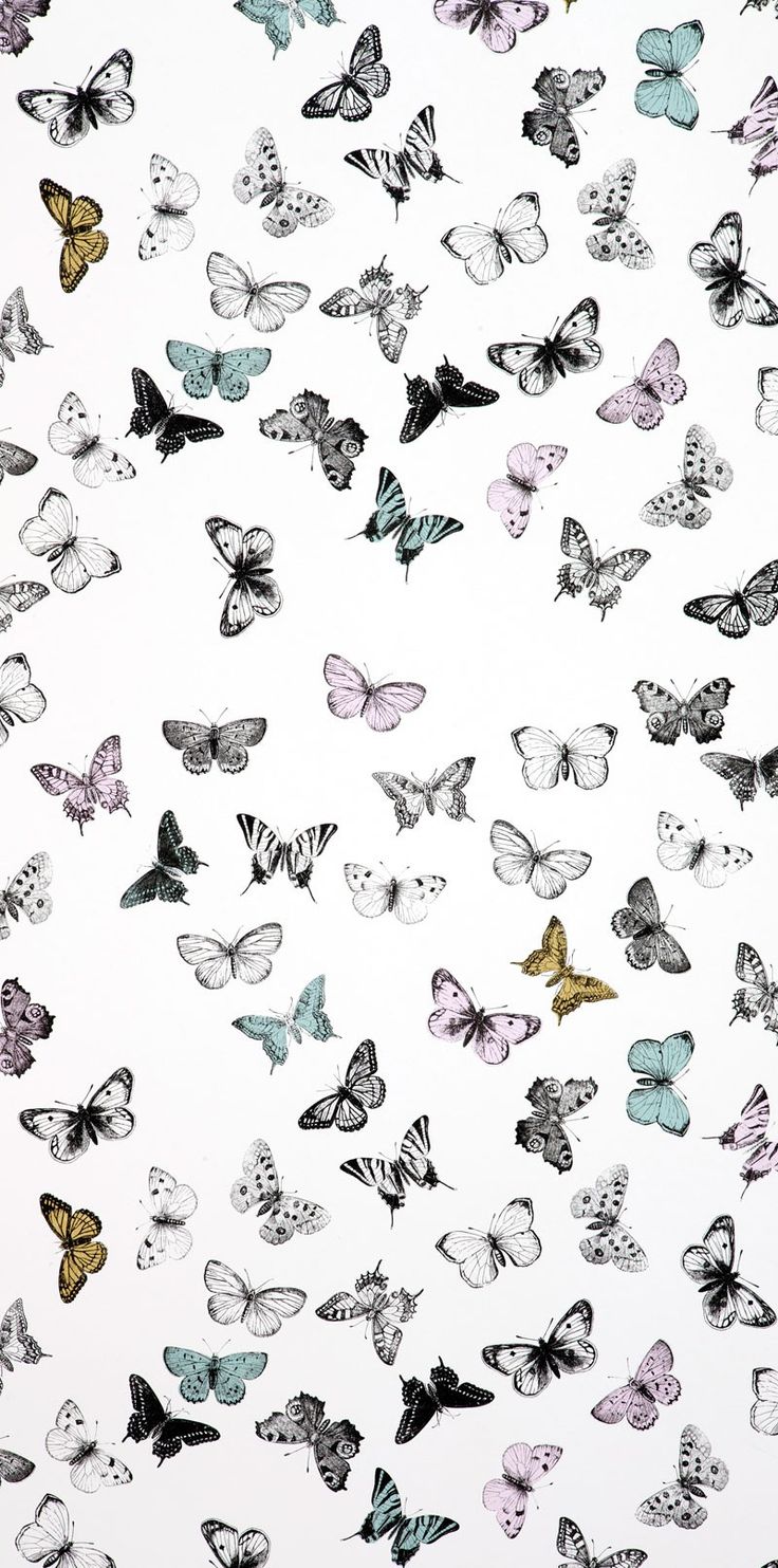  Pattern Wallpapers Butterflies Wallpapers Butterflies Art Pattern