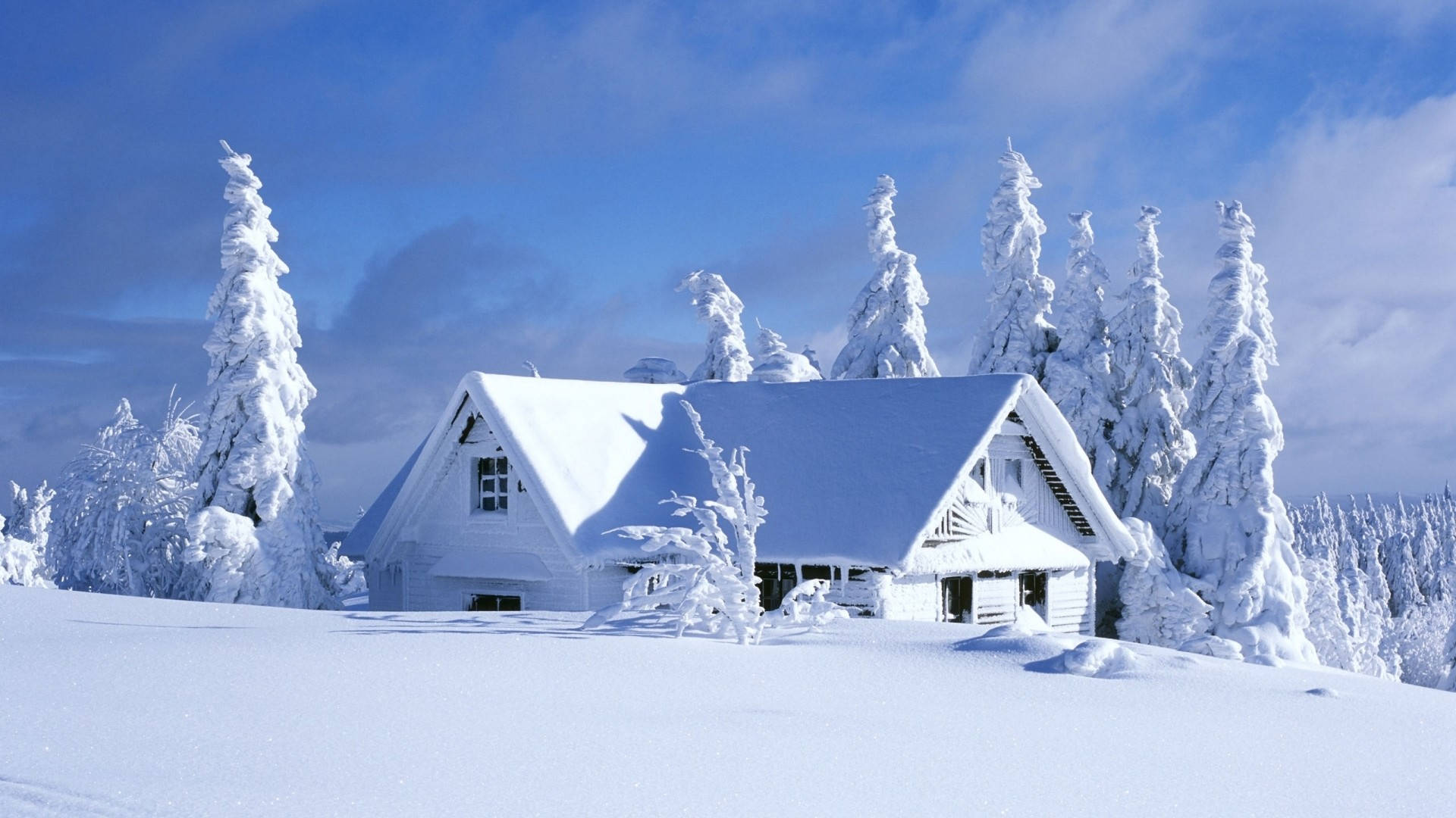 HD Winter Desktop Wallpaper