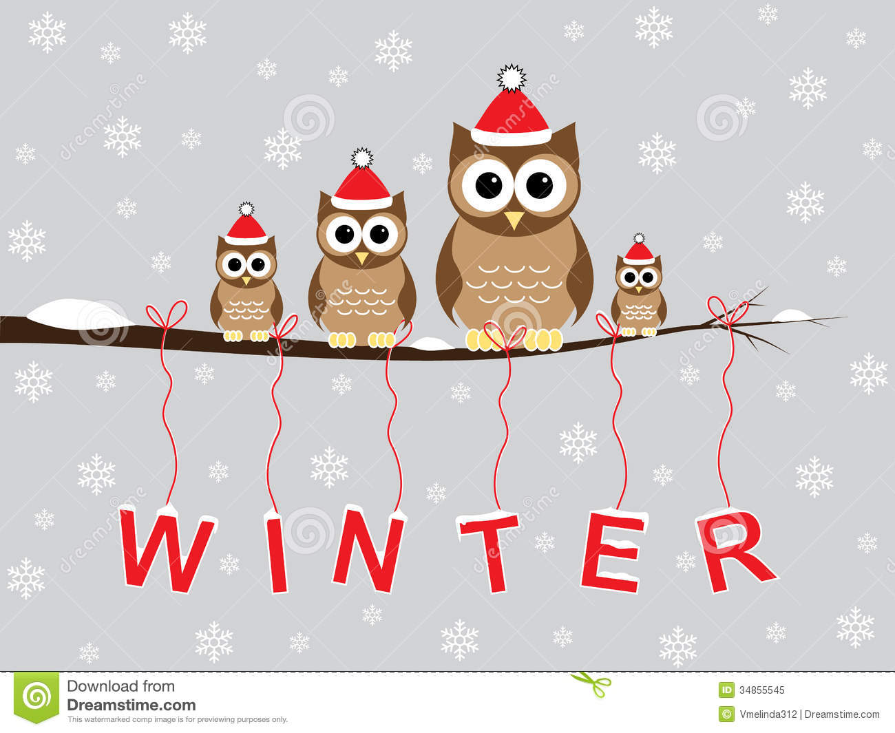 Winter Owl Background