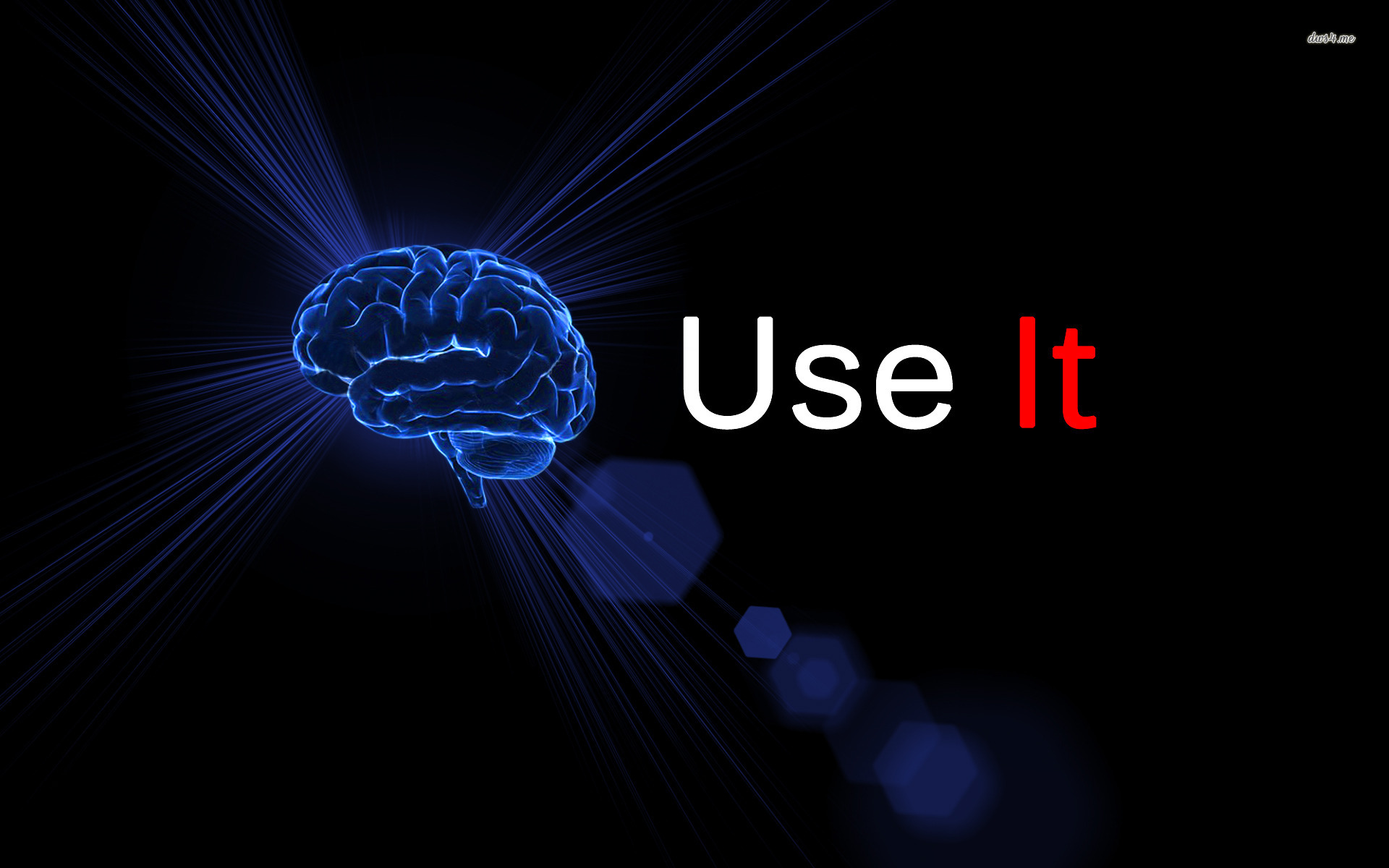 Use Your Brain Wallpaper HD