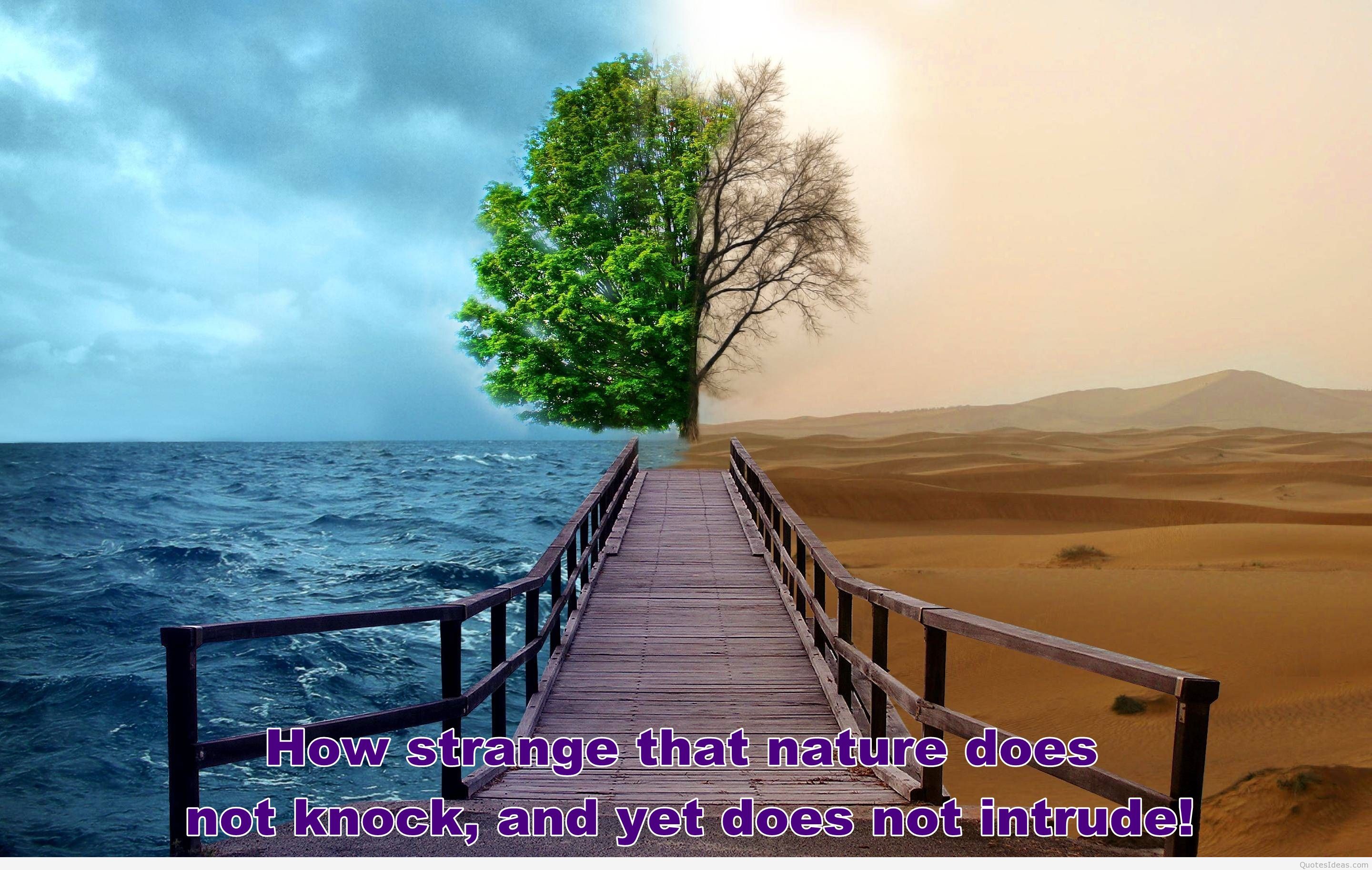 Tag Archives Green Nature Wallpaper Quote