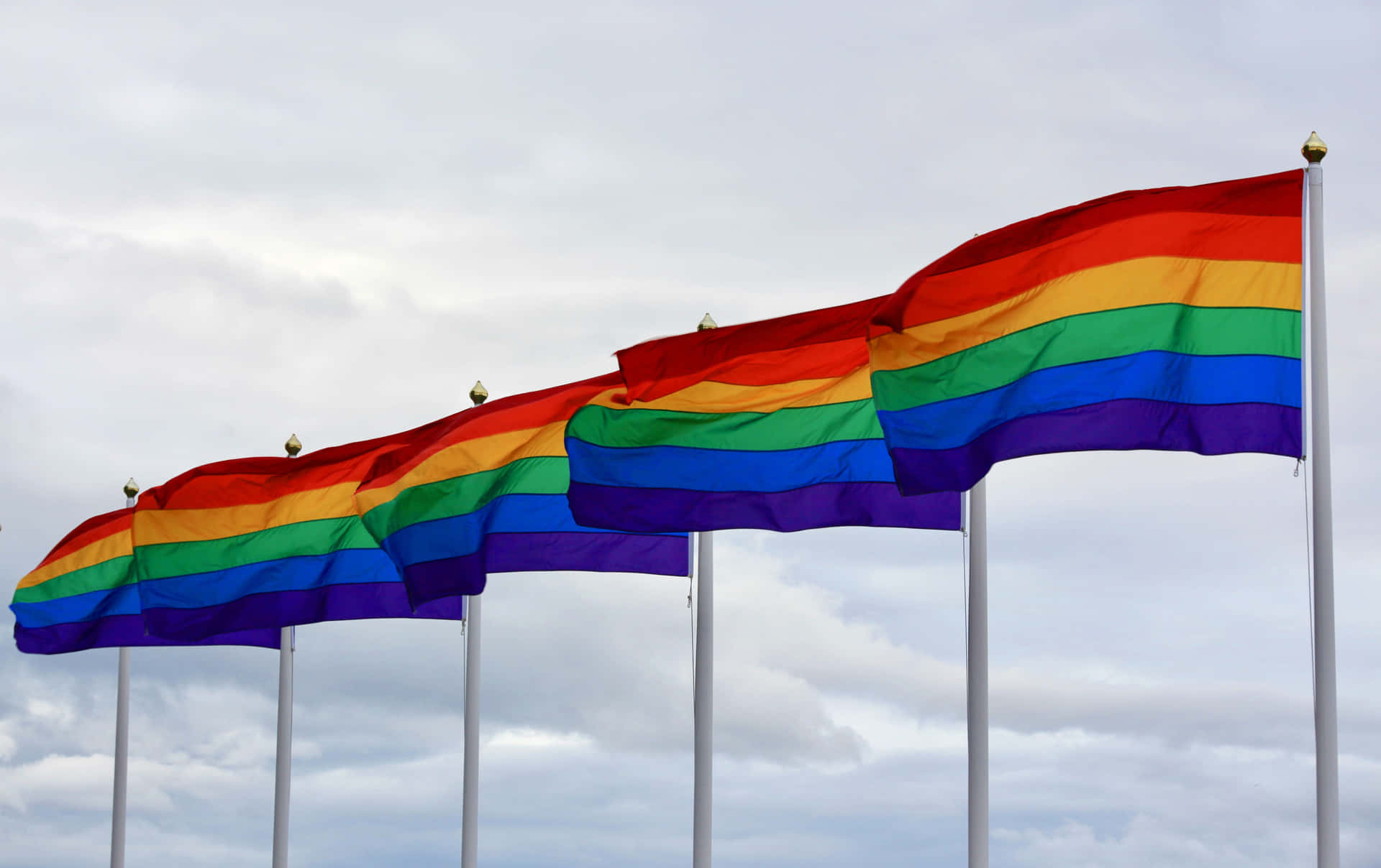 Lgbt Flag Wallpaper