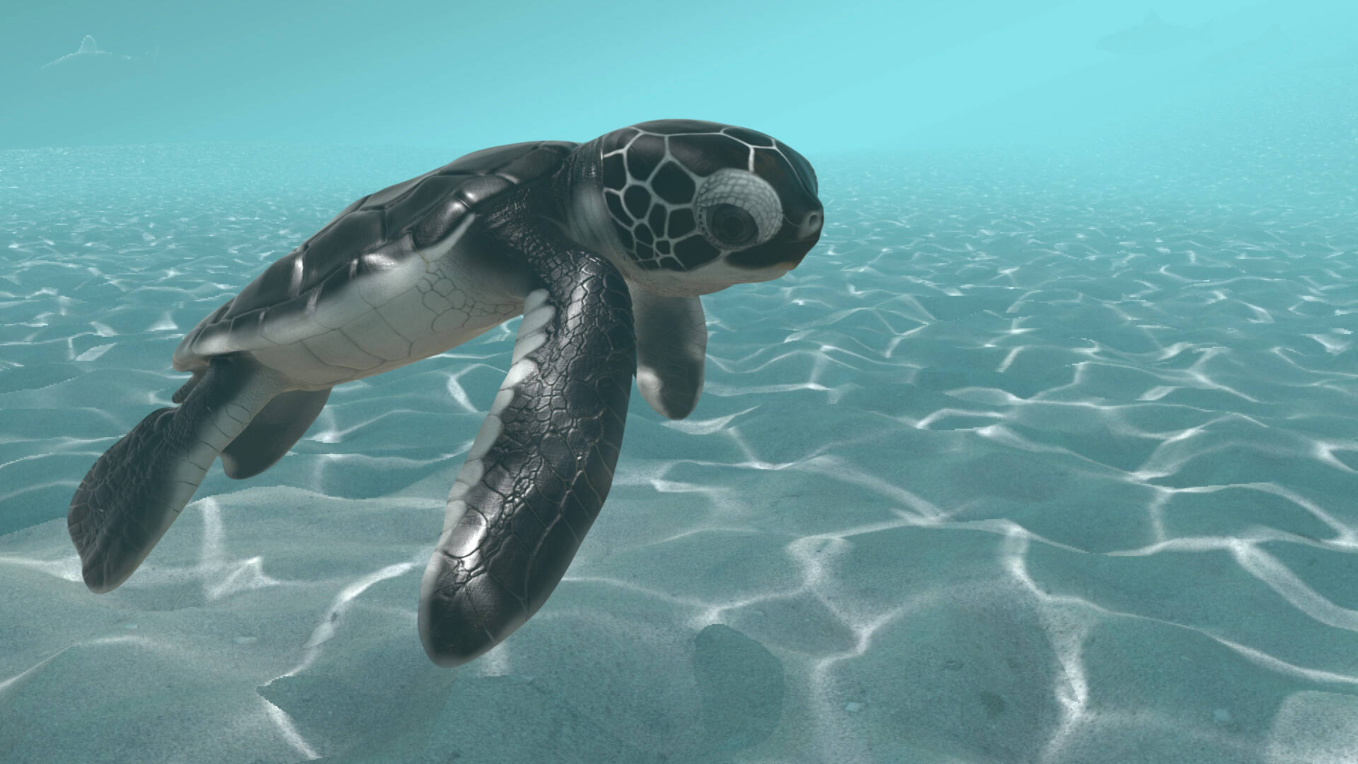 Top Cool Turtle Wallpaper Full HD 4k To Use