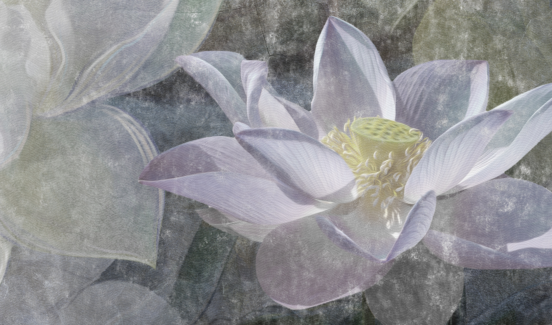 Lotus Wallpaper On