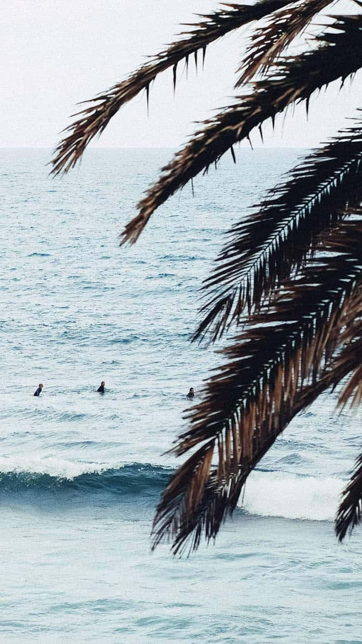 Surfing iPhone Wallpaper