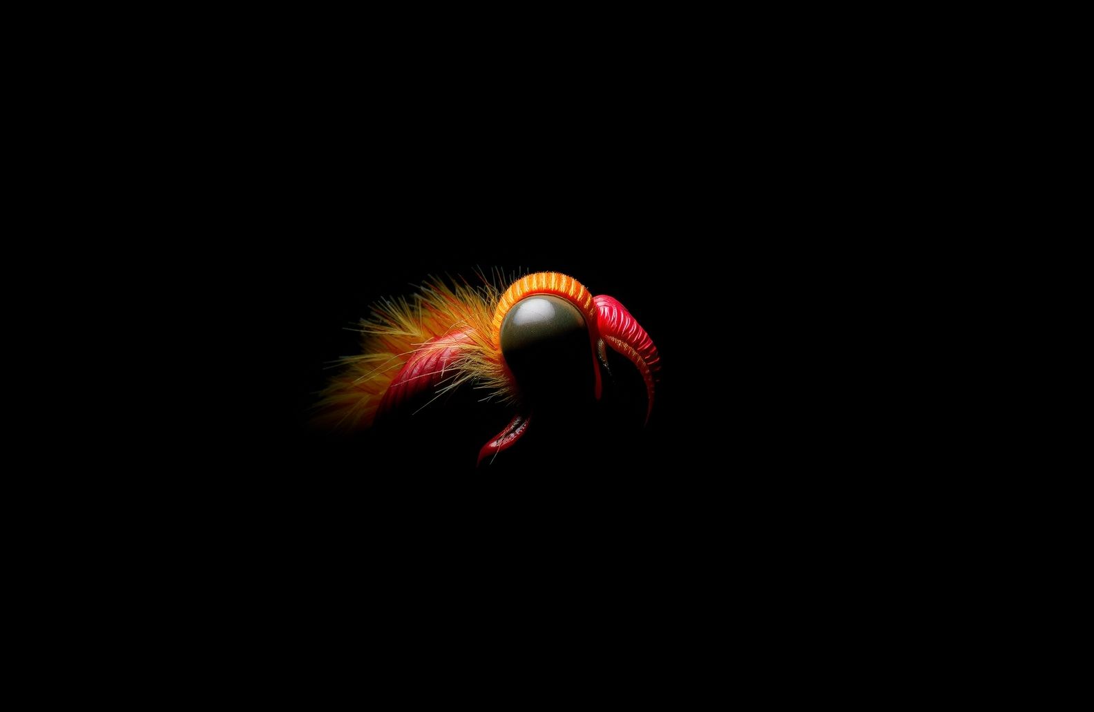 Black Background Pic