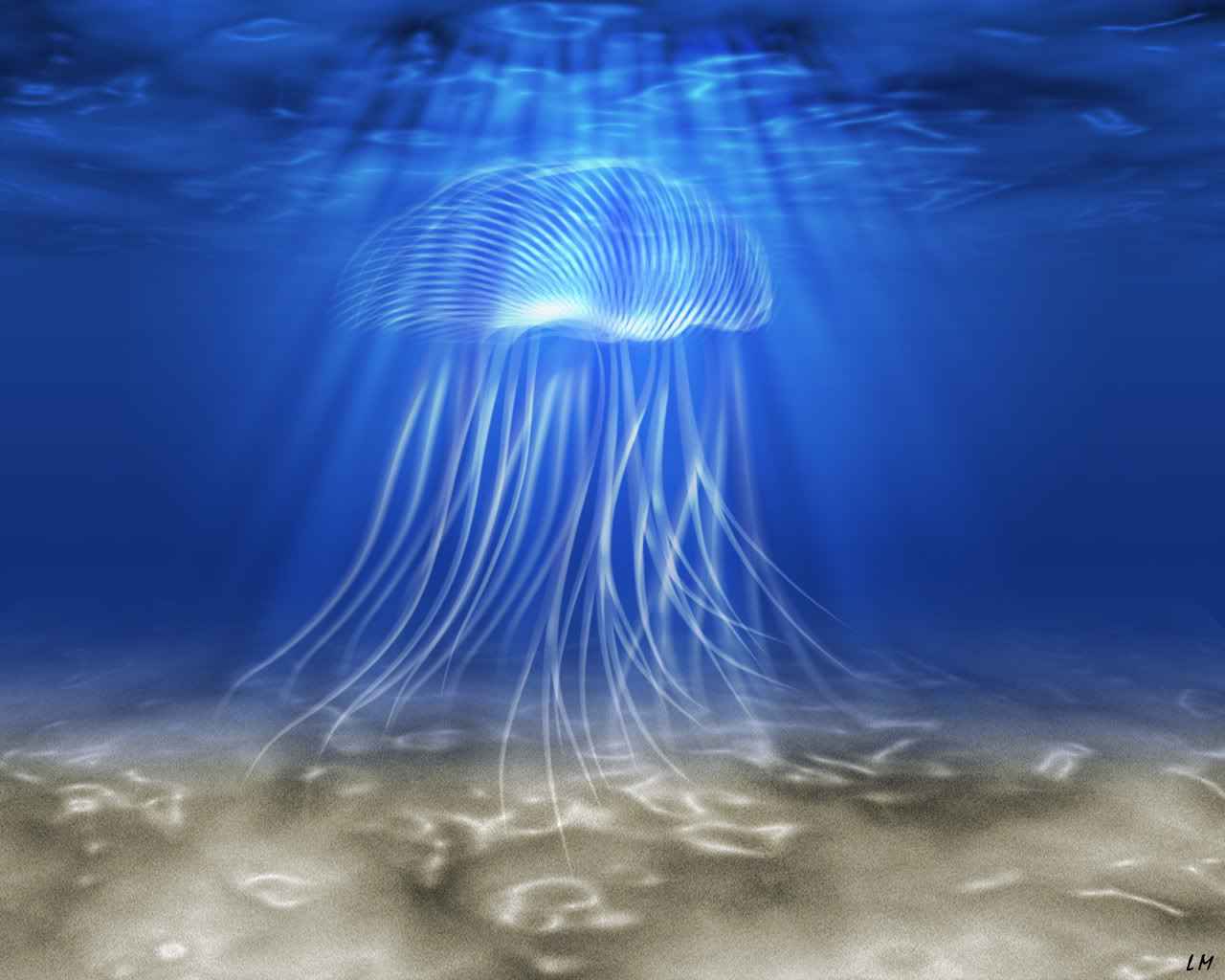 Jellyfish Puter Wallpaper Desktop Background Id