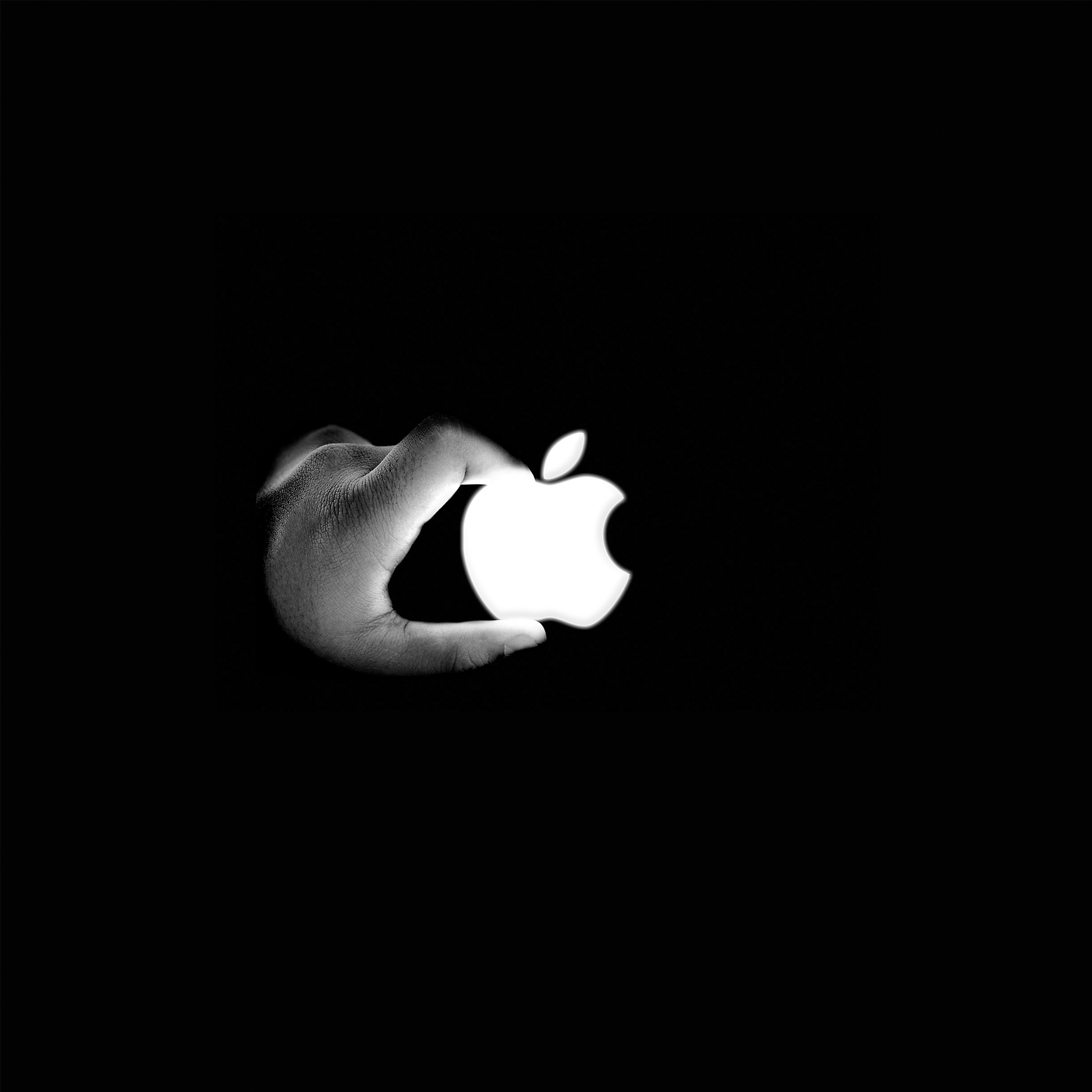 iPad Pro Apple Logo