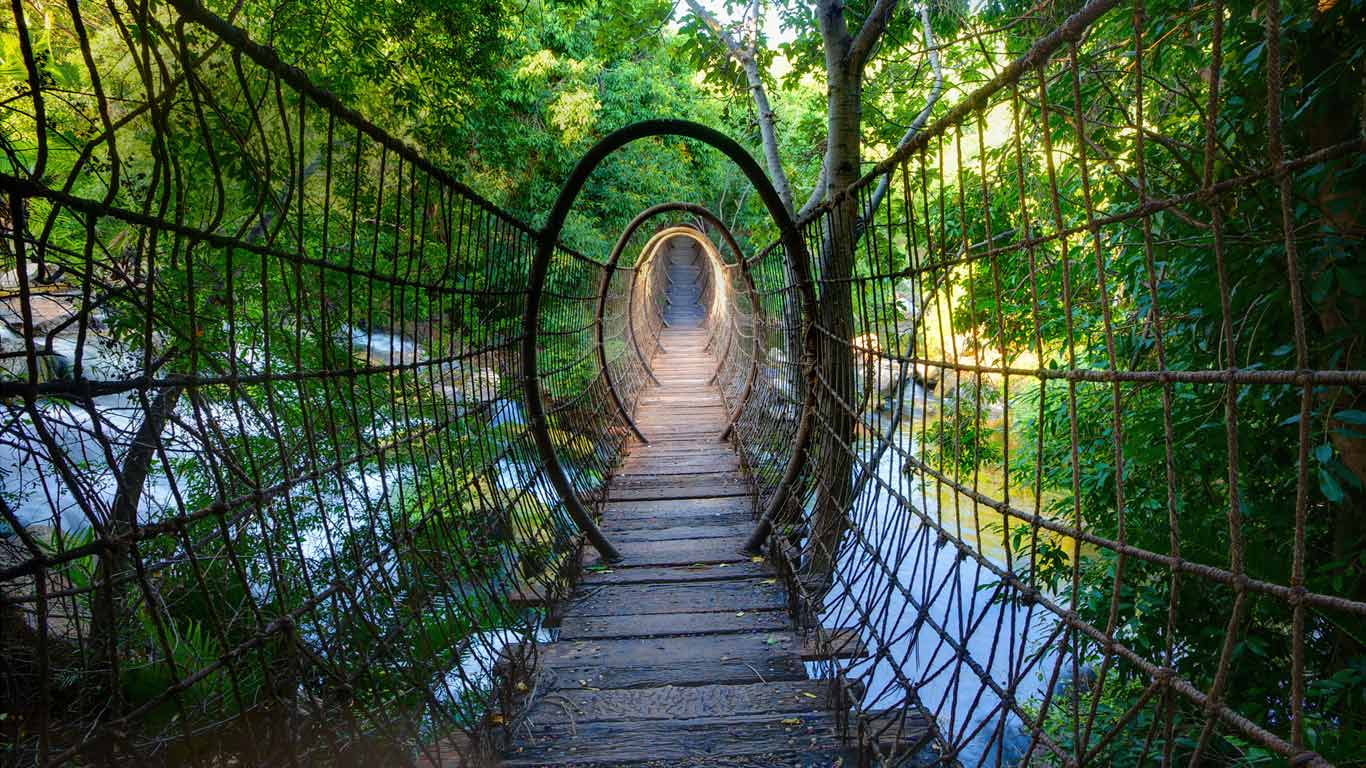 Sway bridge at The Palace of the Lost City North West Province South 1366x768